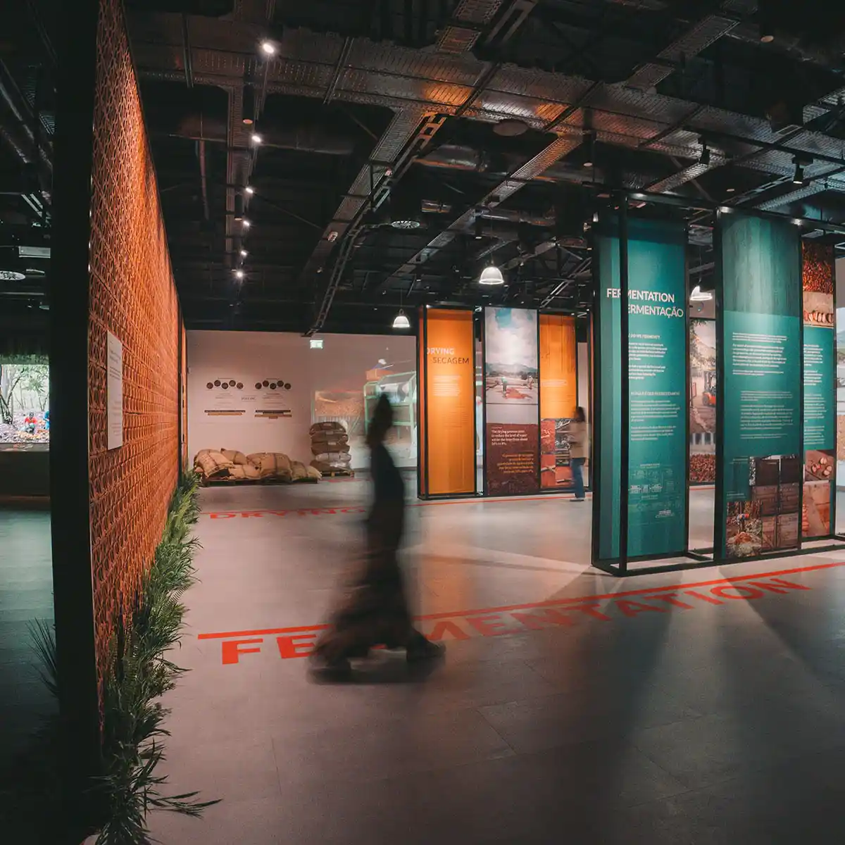 From Sacred Cacao to the Unconquered History