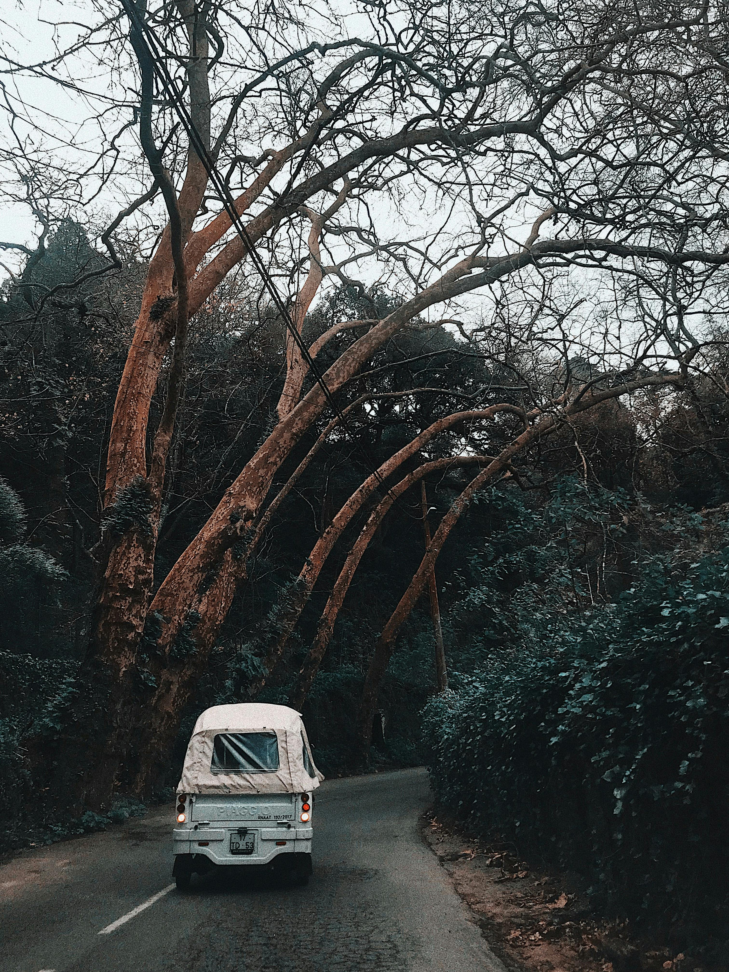 Planning: How to Get There and Get Around Sintra