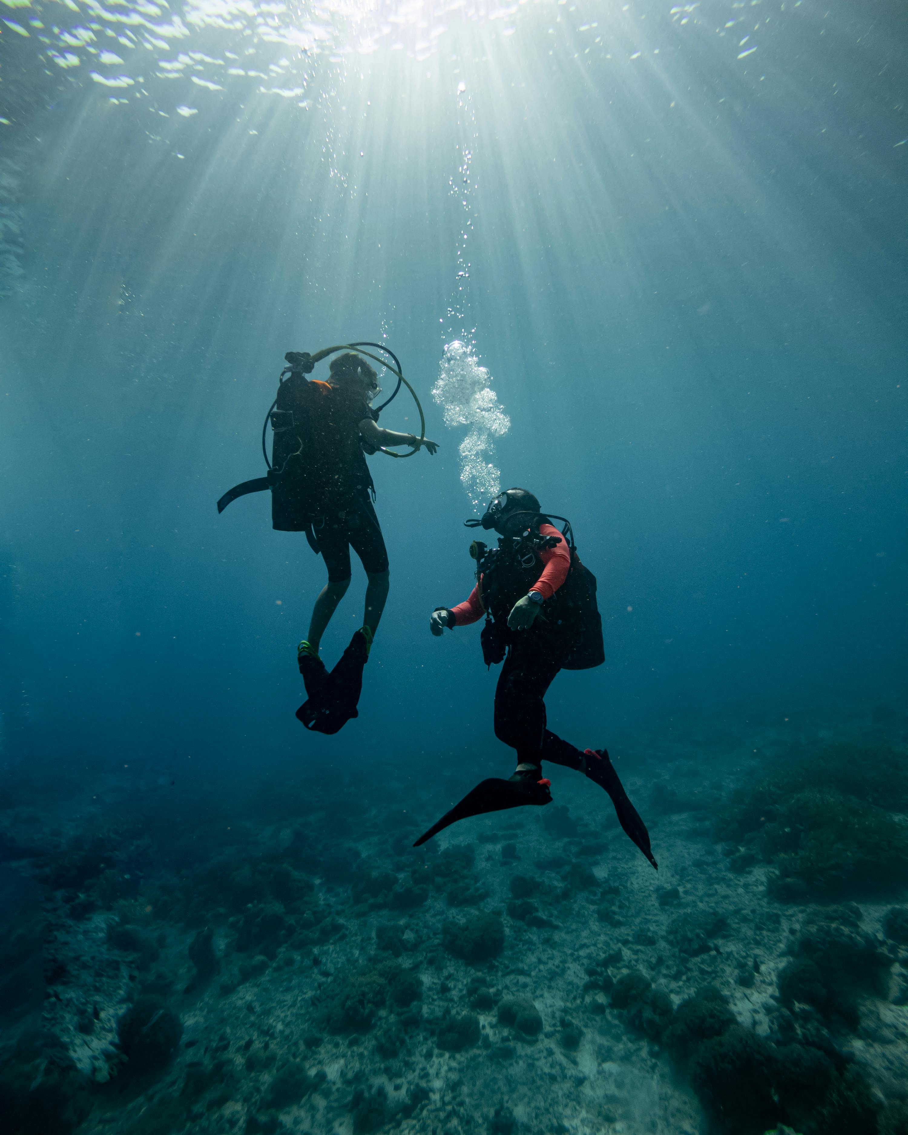 Diving and Snorkelling: Discover the Underwater World