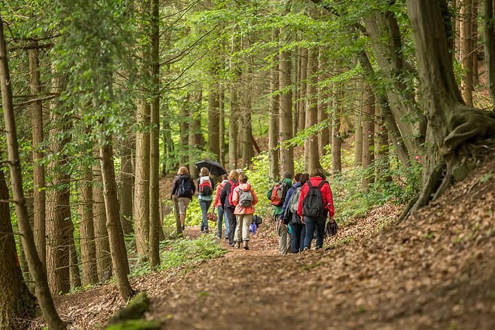 Desconectar en la Naturaleza: Rutas Secretas y Aventuras Todoterreno