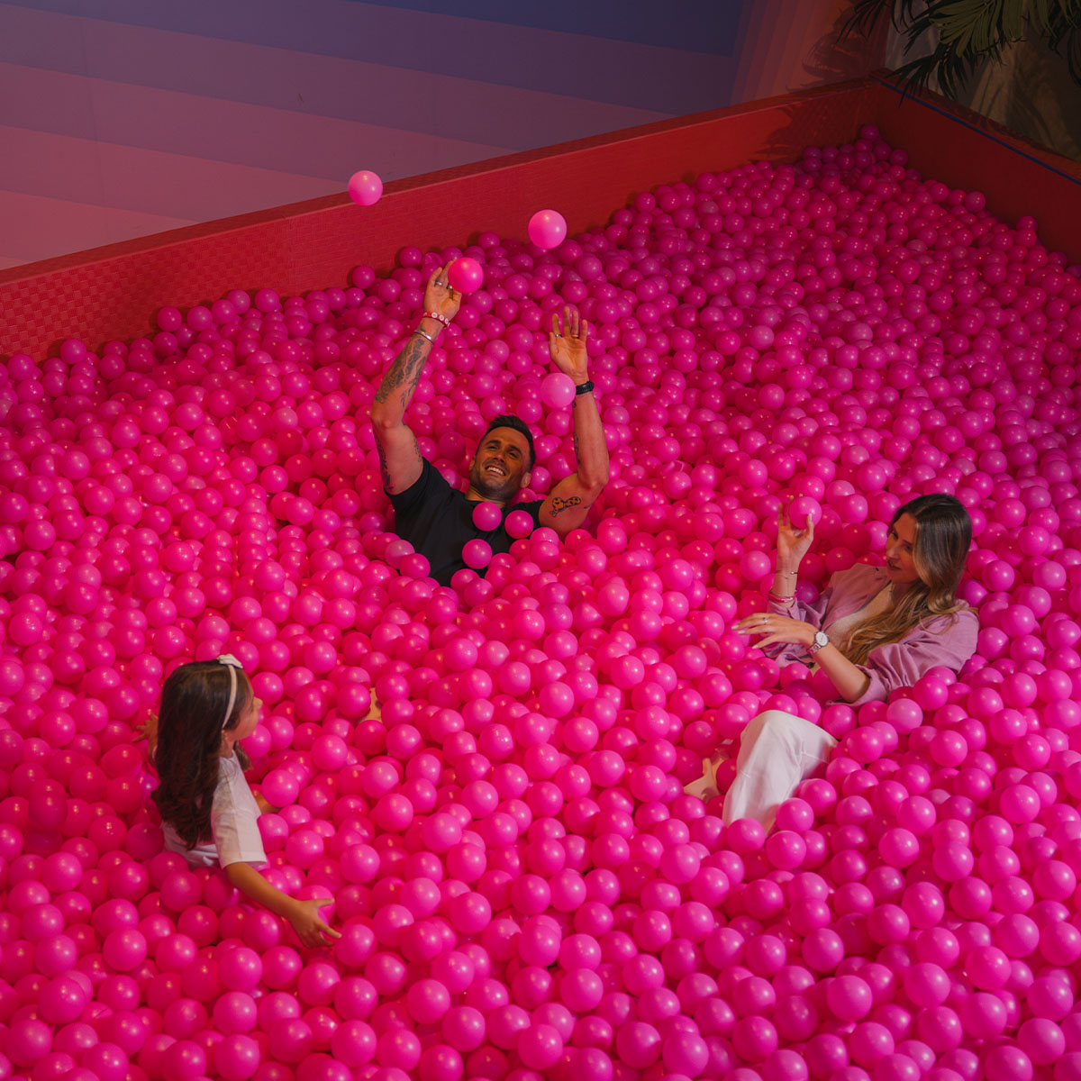 The Universe of Wine and Rosé (Without the Snobbery)