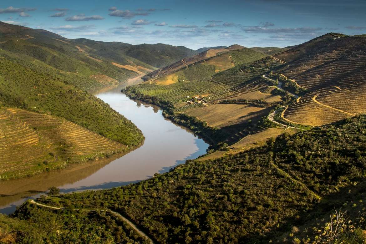 La Magia Profunda de las Vendimias y el Enoturismo en el Duero y el Alentejo