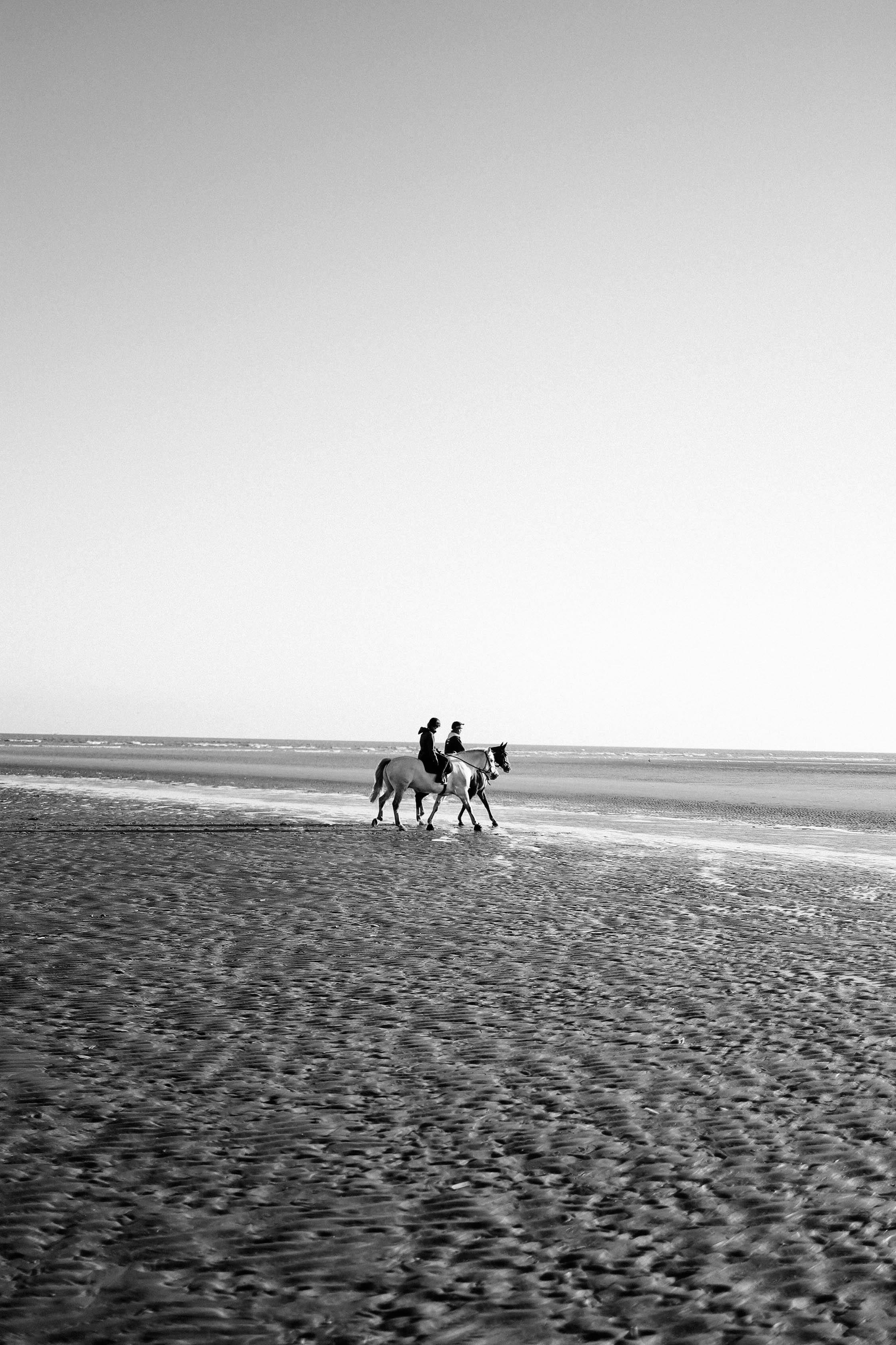 Horse Riding in Comporta: Freedom Between Dunes and Sea