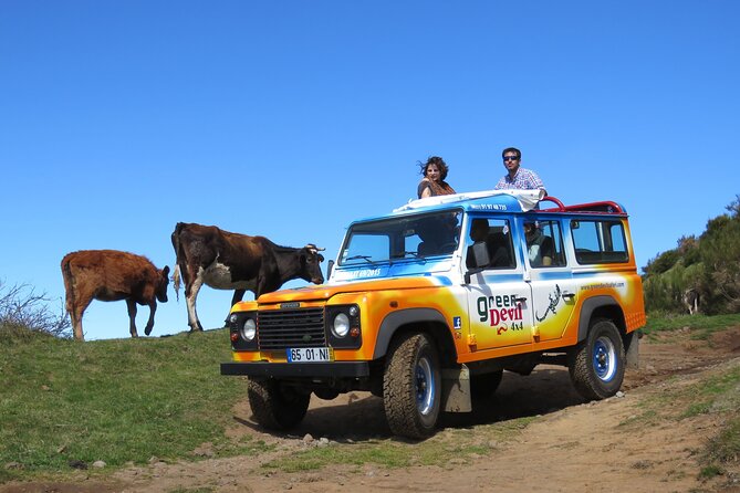 Explorar Fanal y las Piscinas del Noroeste en un Jeep Abierto