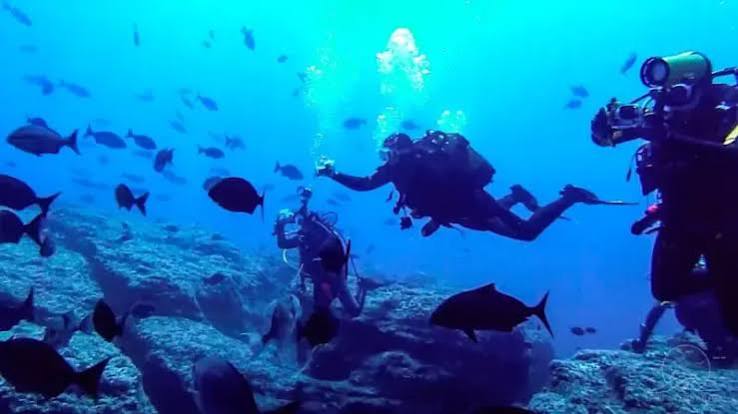 Hacer el Primer Buceo con Botella en el Océano de Madeira