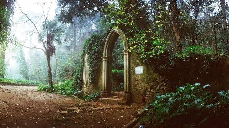 Para Além de Hogwarts: Mitos, Lendas e a Quinta das Lágrimas