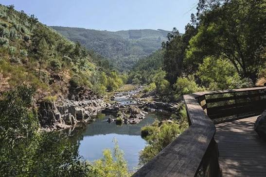 Explorar a Natureza em Transição: Trilhos, Parques e Paisagens Douradas