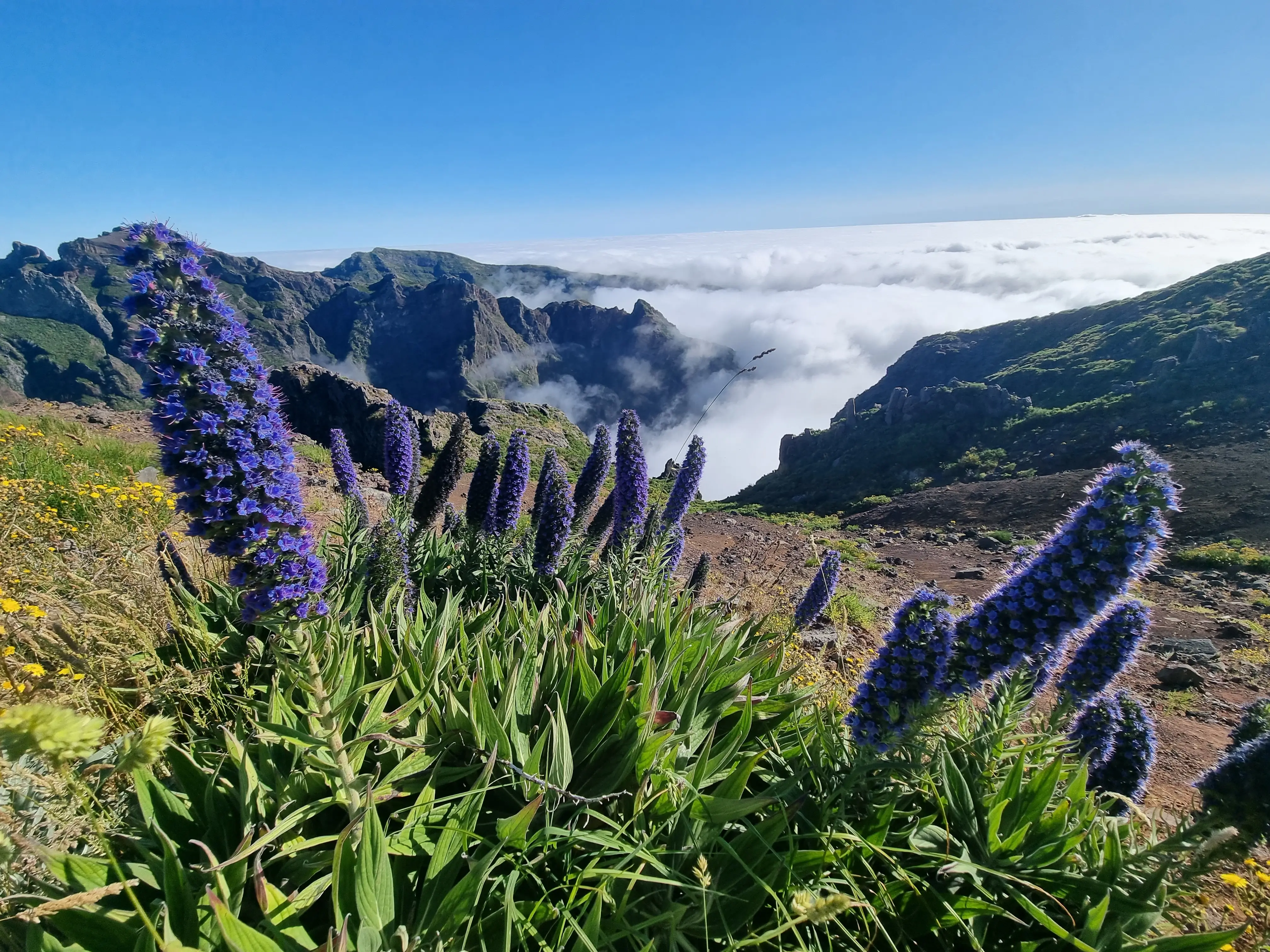 Jeep 4x4 Full Day East, Santana, Thatched houses, Pico Areeiro, levada walk - 8