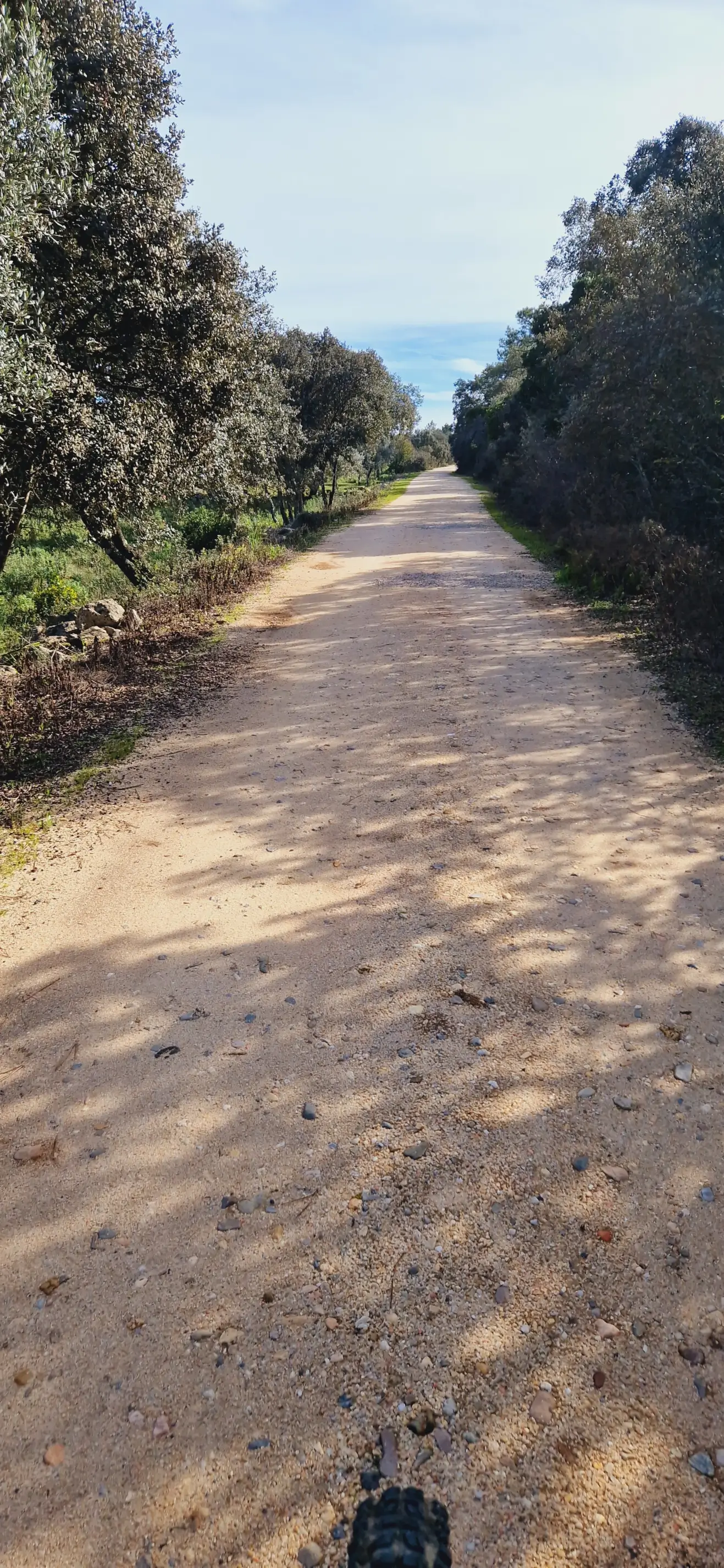 FÁTIMA: JURASSIC FOOTPRINTS E-BIKE TOUR - 5