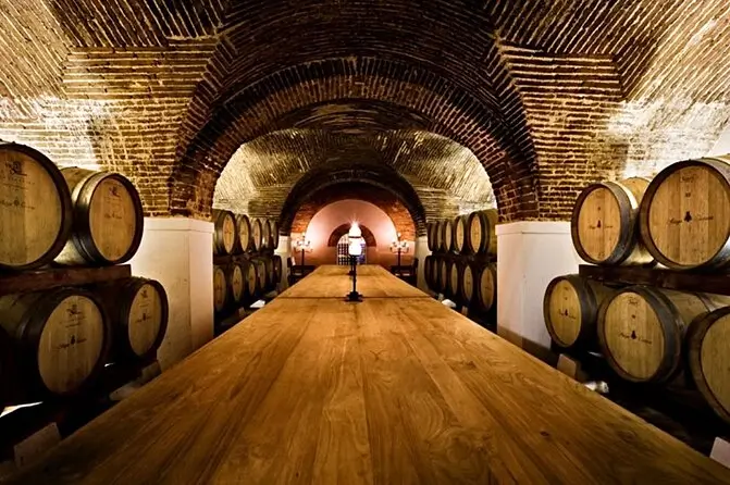 Private Full Day Évora and Alentejo Wine Tour - 1