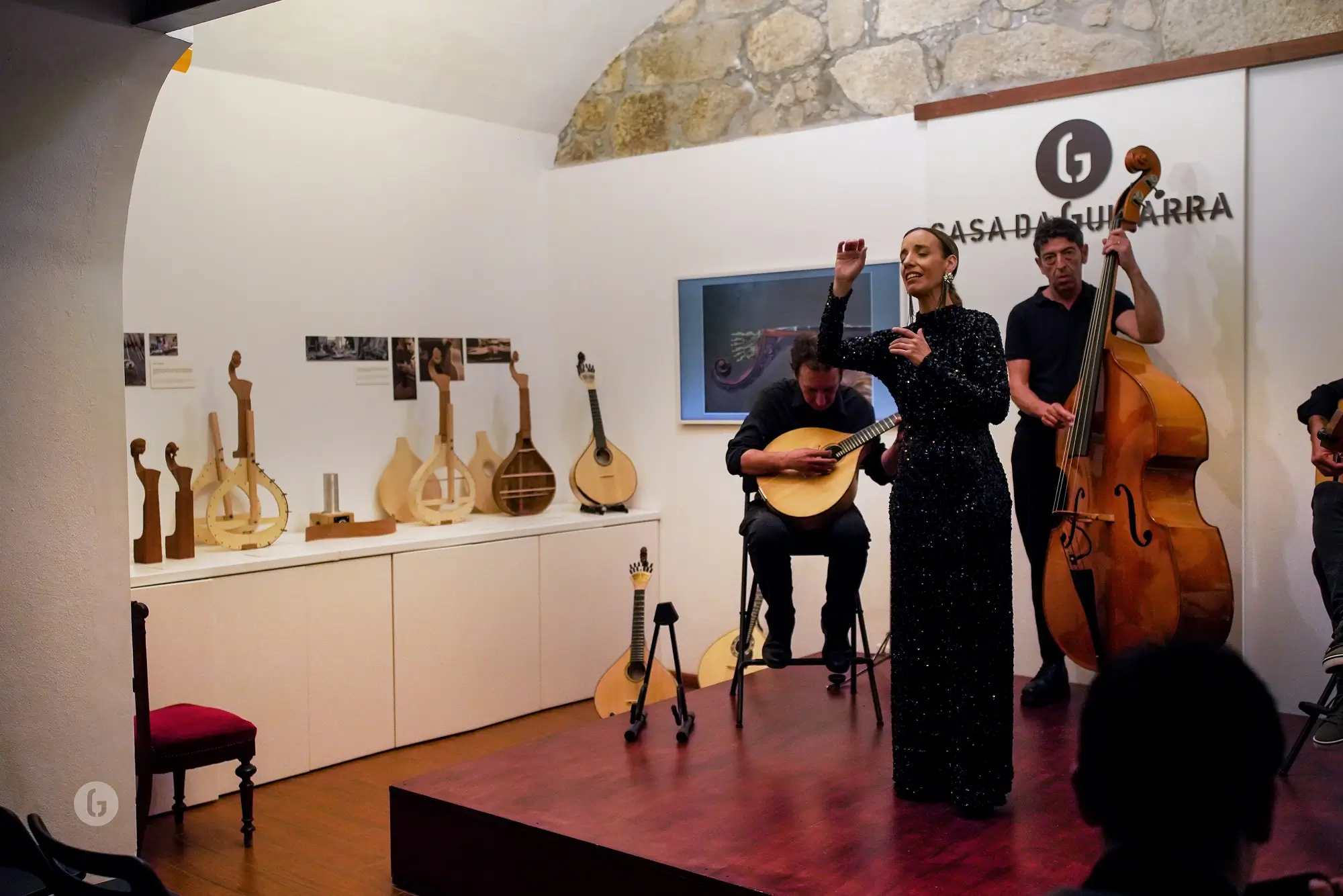 Porto: Fado, the Oldest Concert in Town, with Port Wine - 4