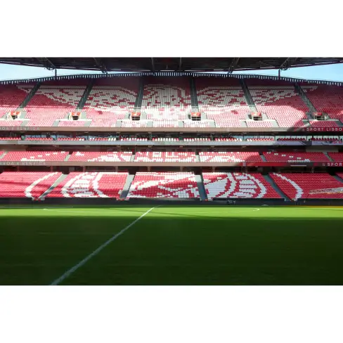 Stadium Tour Pack, with scarf - 6