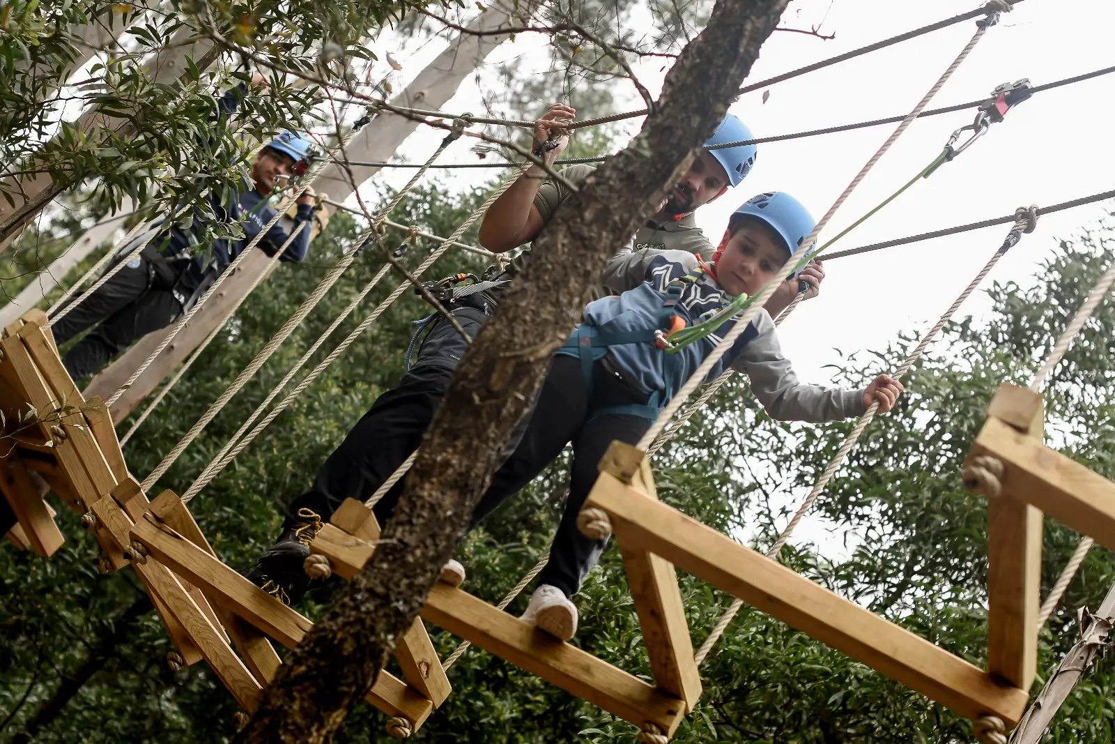 Tree Climbing - 6