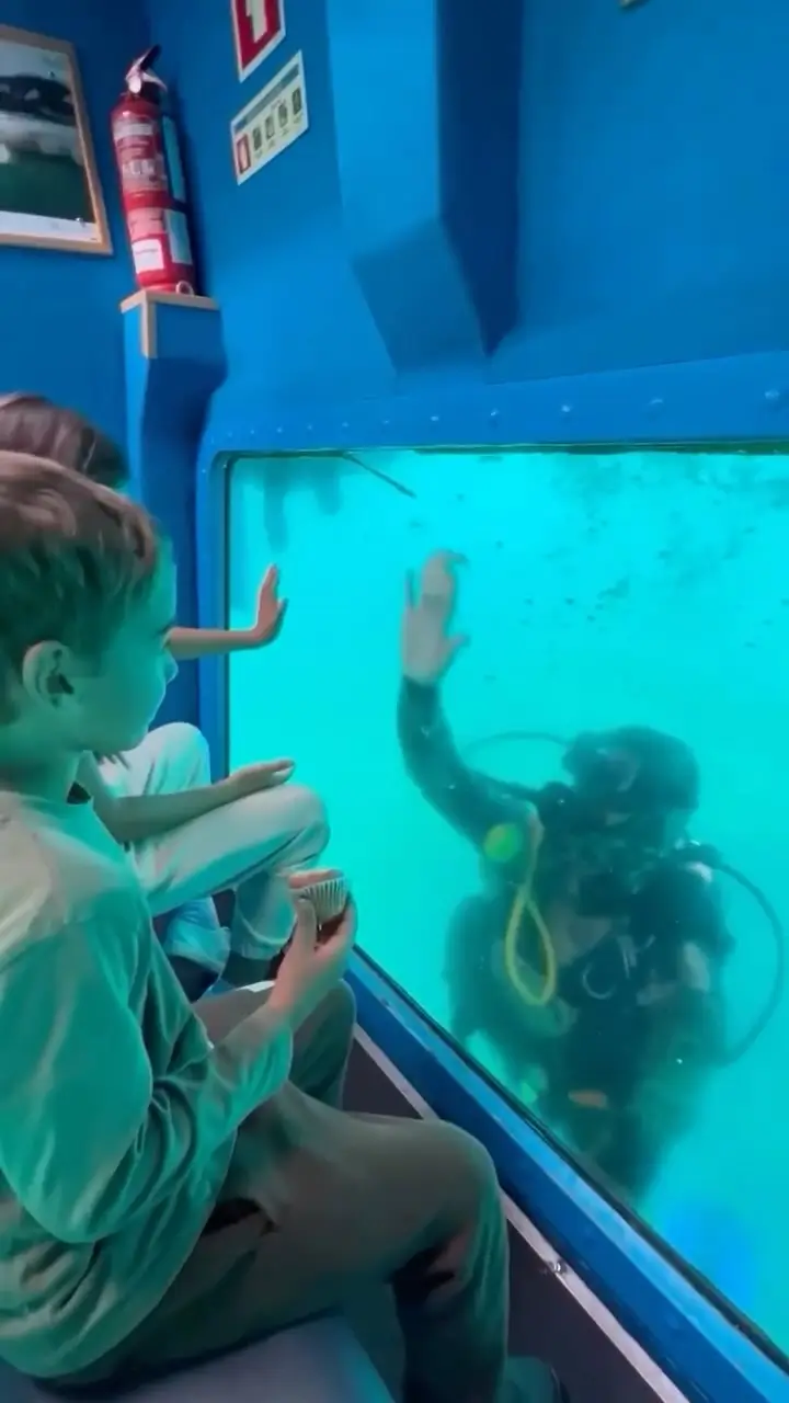 Boat Trip with underwater views - 7