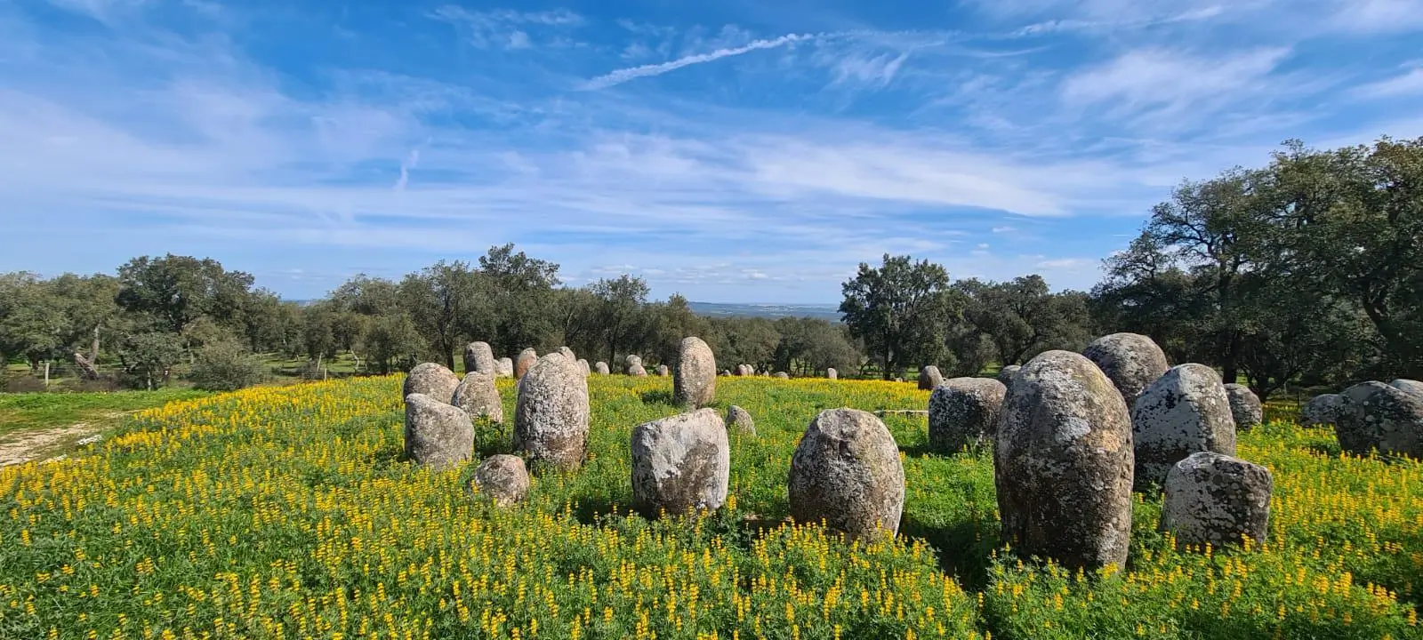 Évora: Guided Hike to Almendres Megalithic - 1