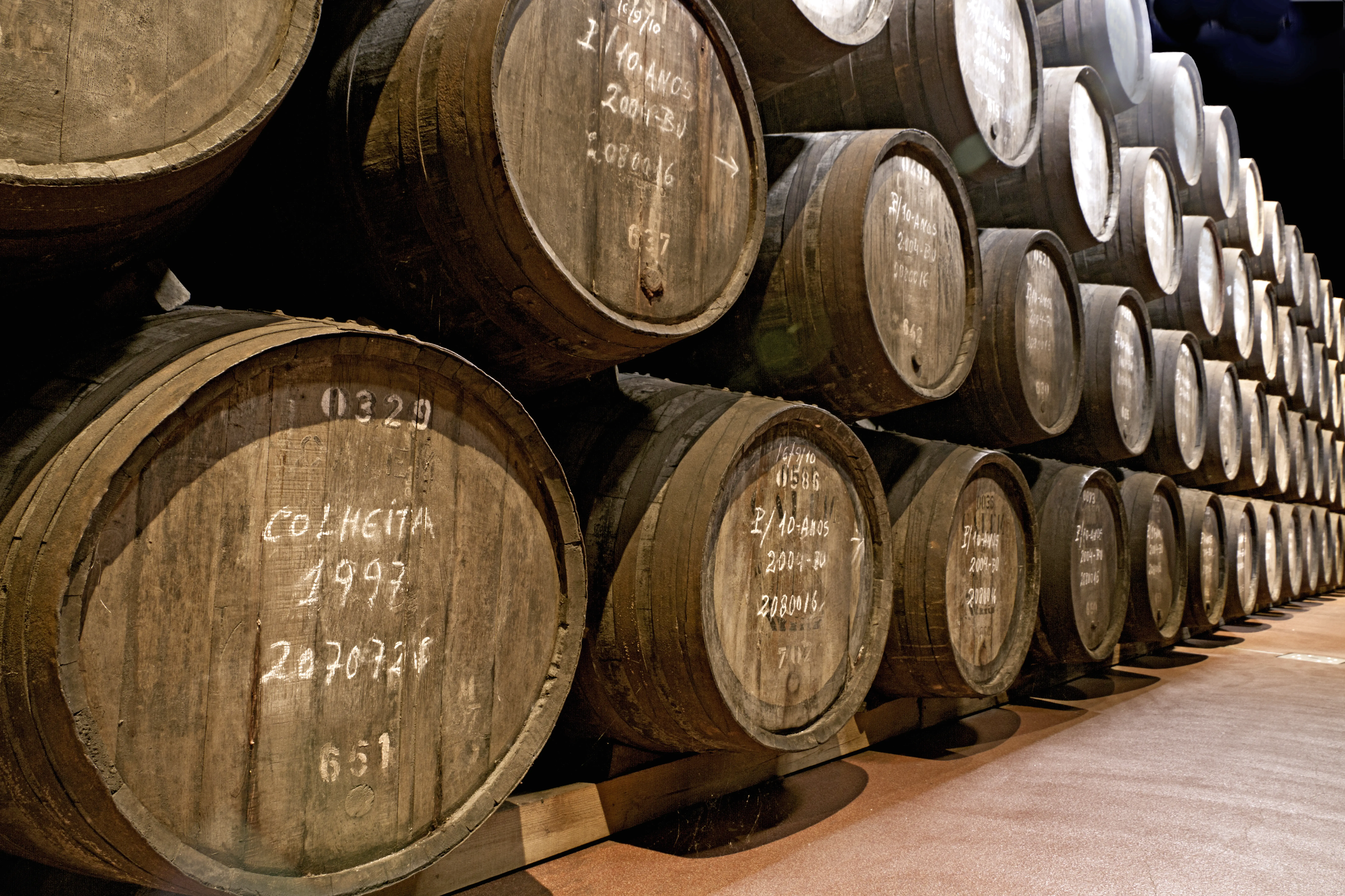 Évora Wine & Heritage Tour - 6