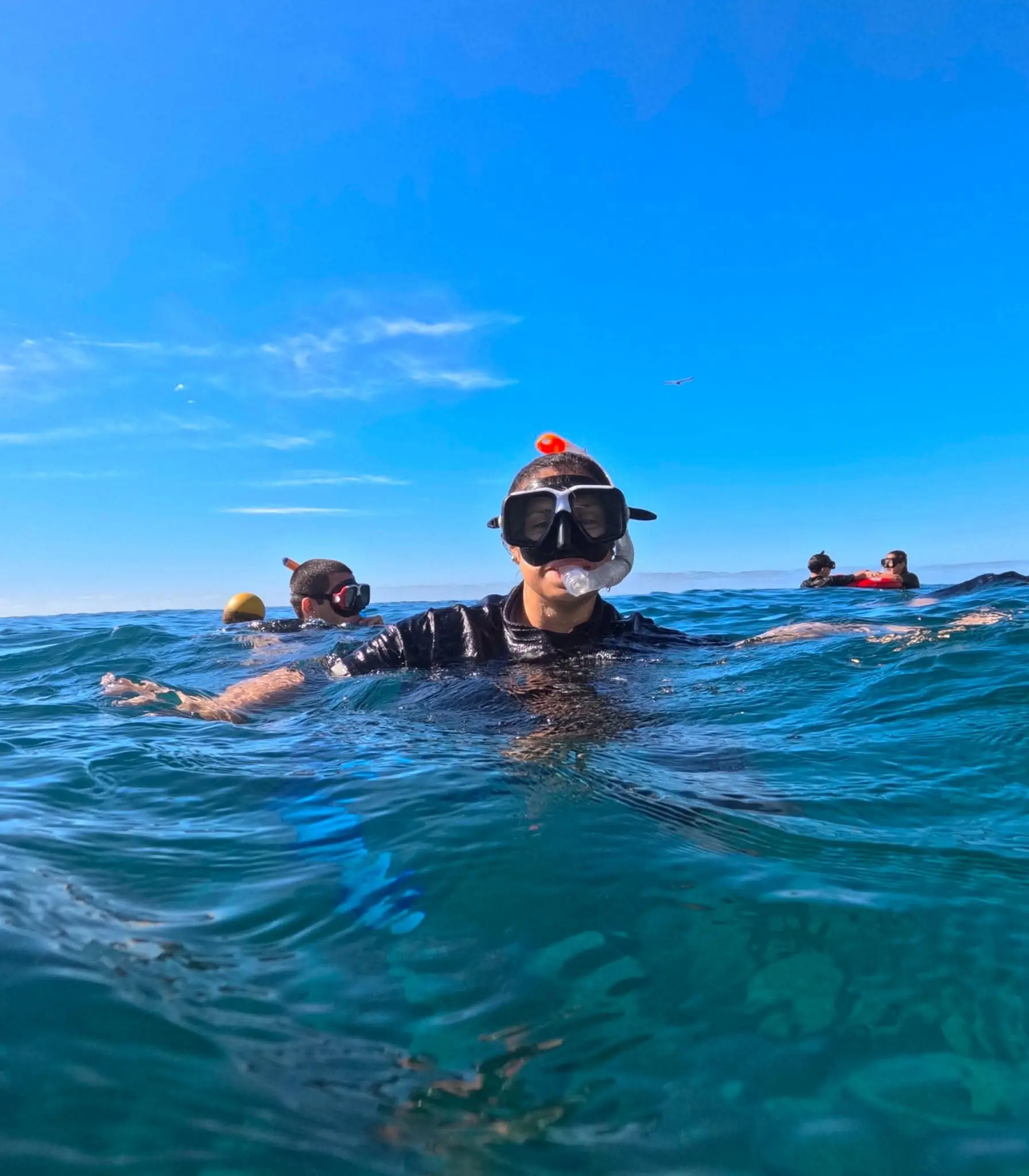 Meu primeiro mergulho no oceano a partir da Ilha de Porto Santo - 7