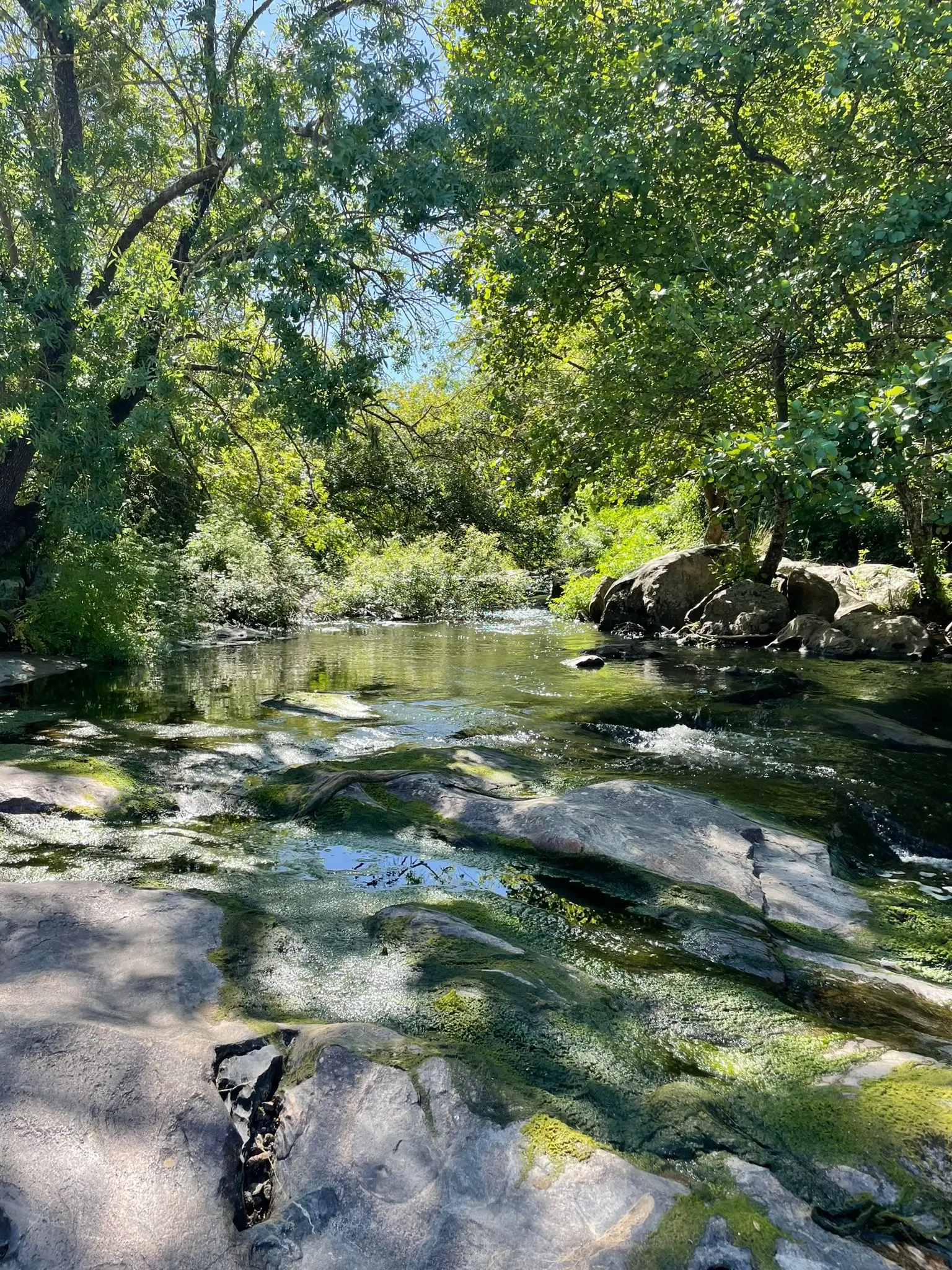 Montemor-o-Novo: Guided Hiking Tour with Lunch - 4