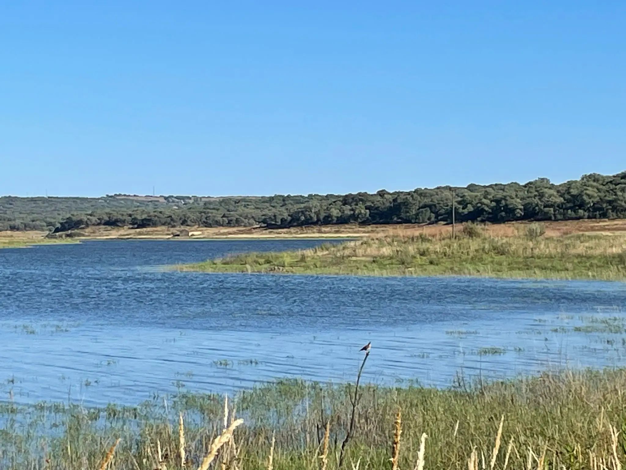 Évora: Half-day in dam with Pic nic and stand-up Paddle - 8