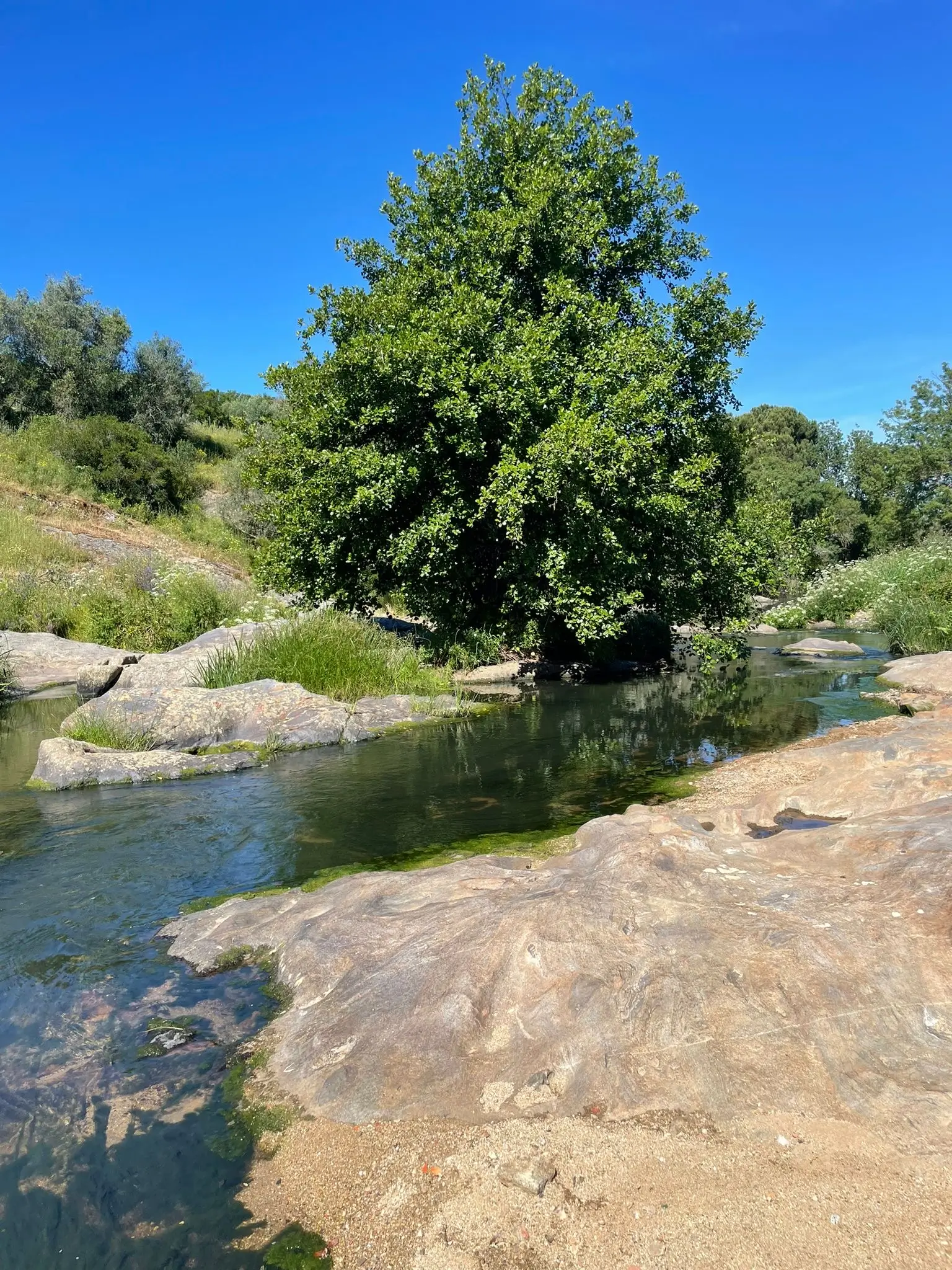 Montemor-o-Novo: Guided Hiking Tour with Lunch - 2