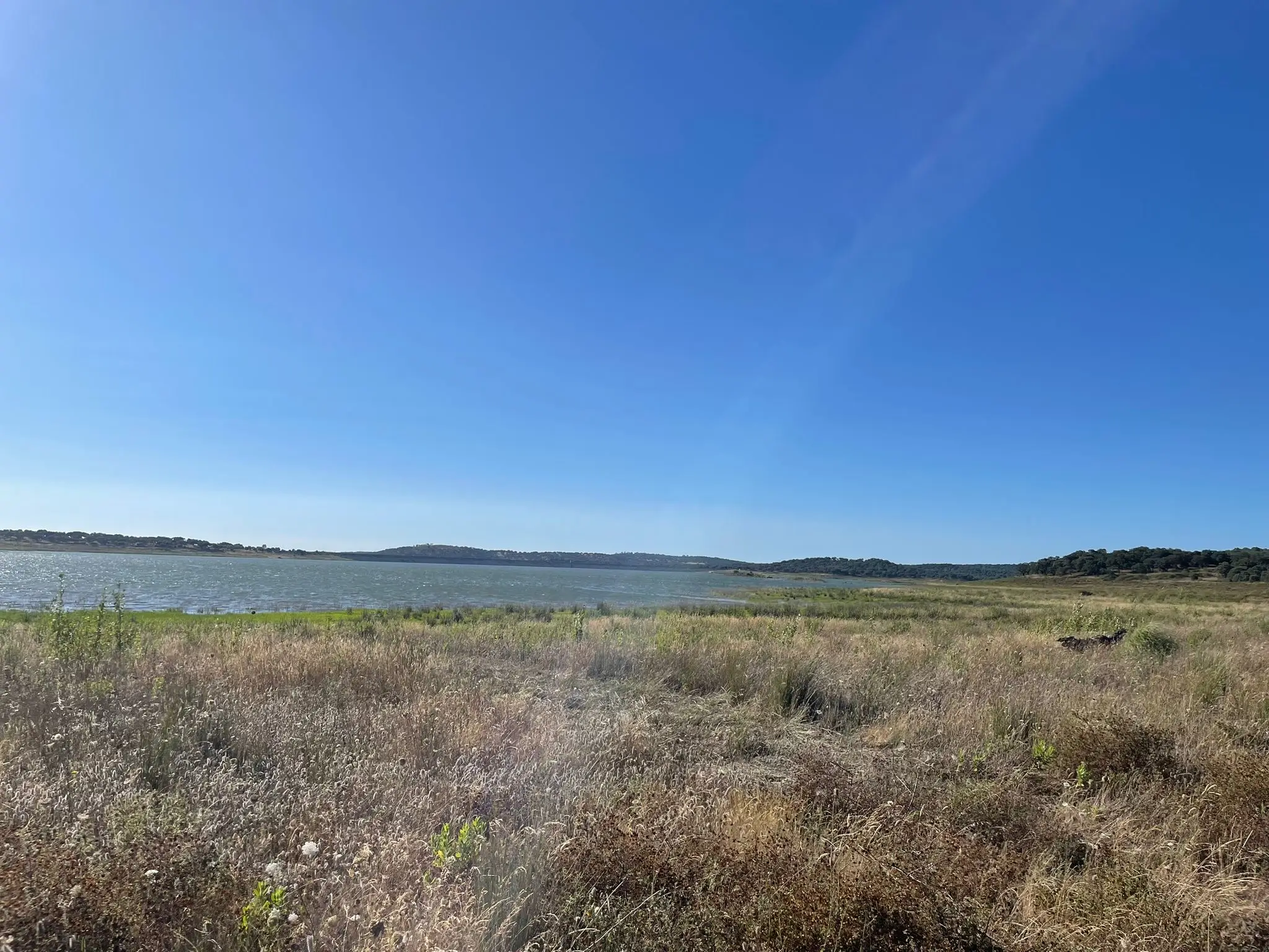 Évora: Half-day in dam with Pic nic and stand-up Paddle - 5