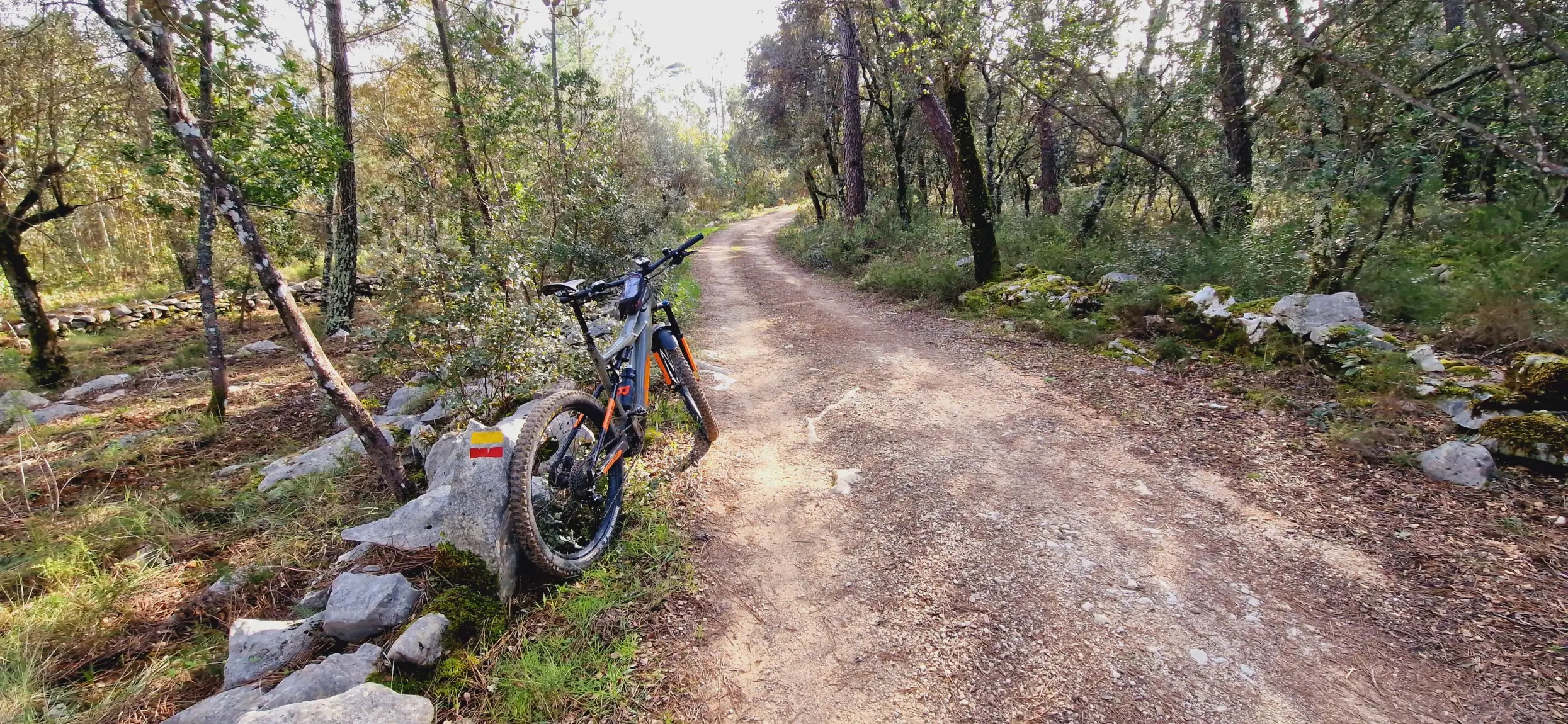 FÁTIMA: JURASSIC FOOTPRINTS E-BIKE TOUR - 7