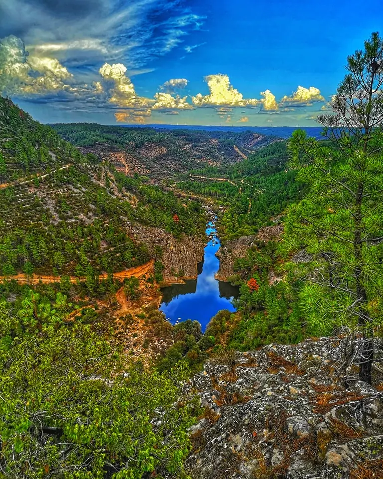 Portas de Ródão: Boat Trip & Exploration of the Region’s Natural Wonders - 9