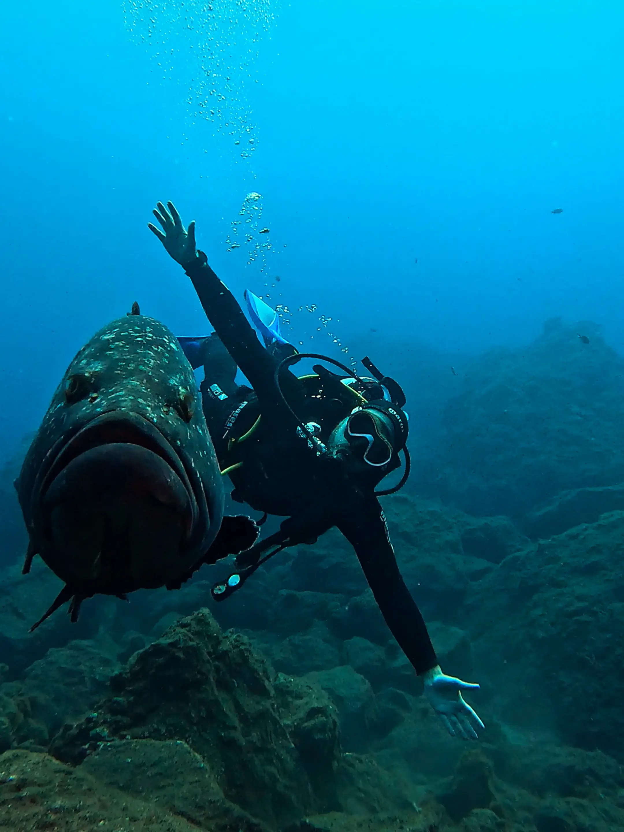 Meu primeiro mergulho no oceano a partir da Ilha de Porto Santo - 8