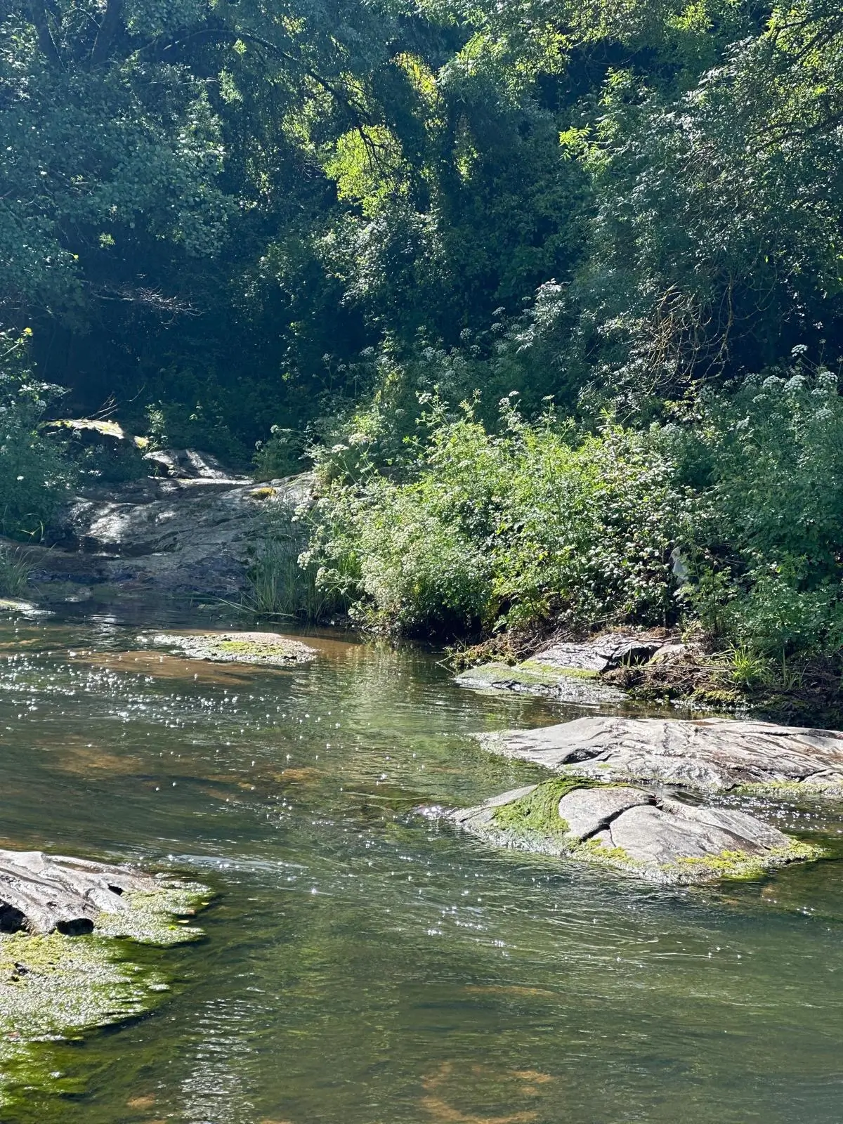 Montemor-o-Novo: Guided Hiking Tour with Lunch - 1