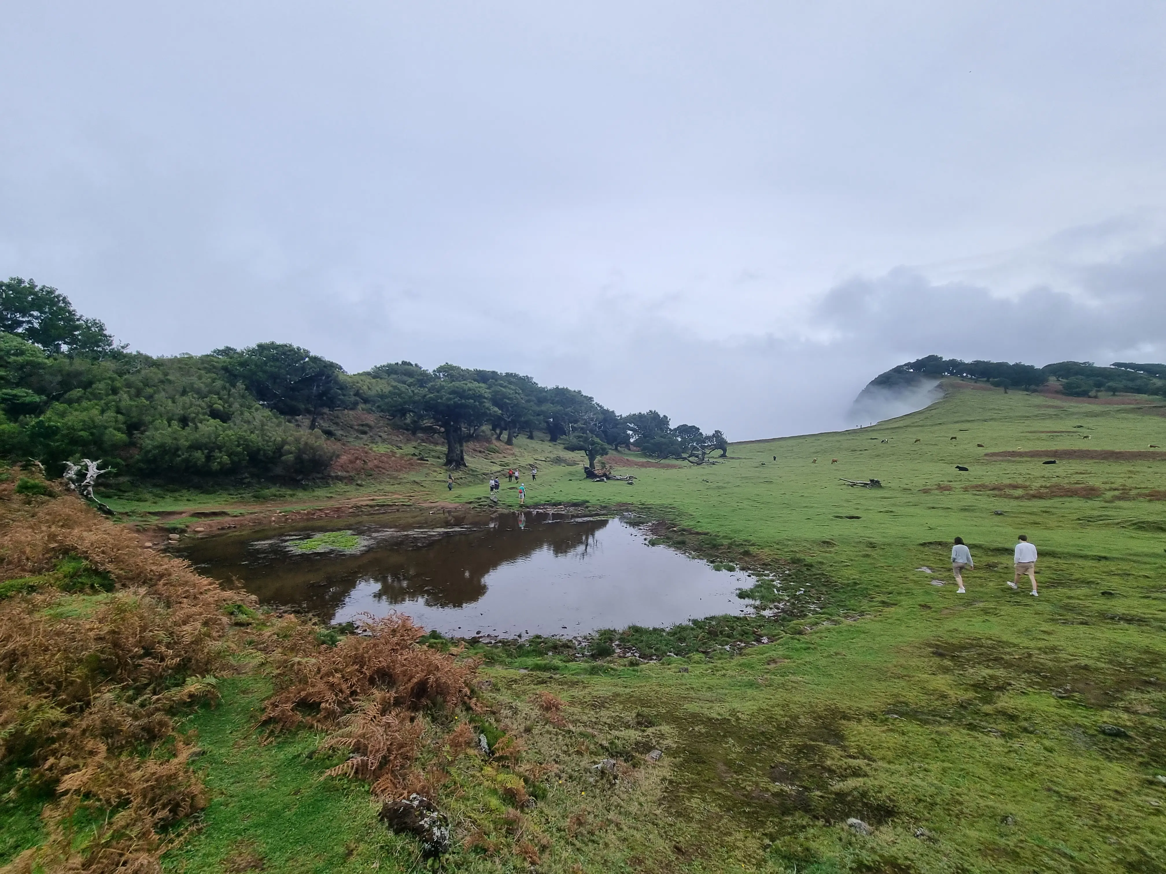 Private 4x4 Jeep Full Day Madeira, Porto Moniz (Up to 5 Pax) - 3