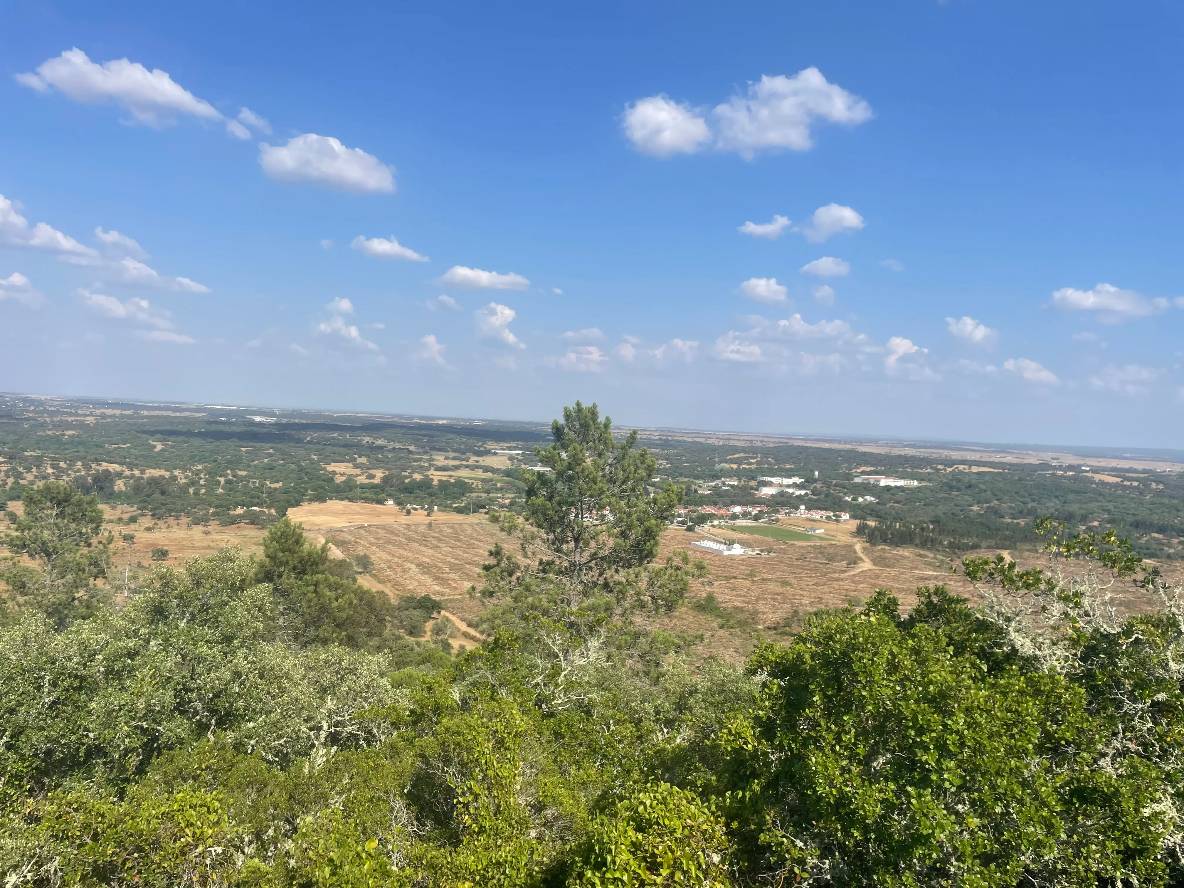 Évora: Guided Hike to Almendres Megalithic - 6