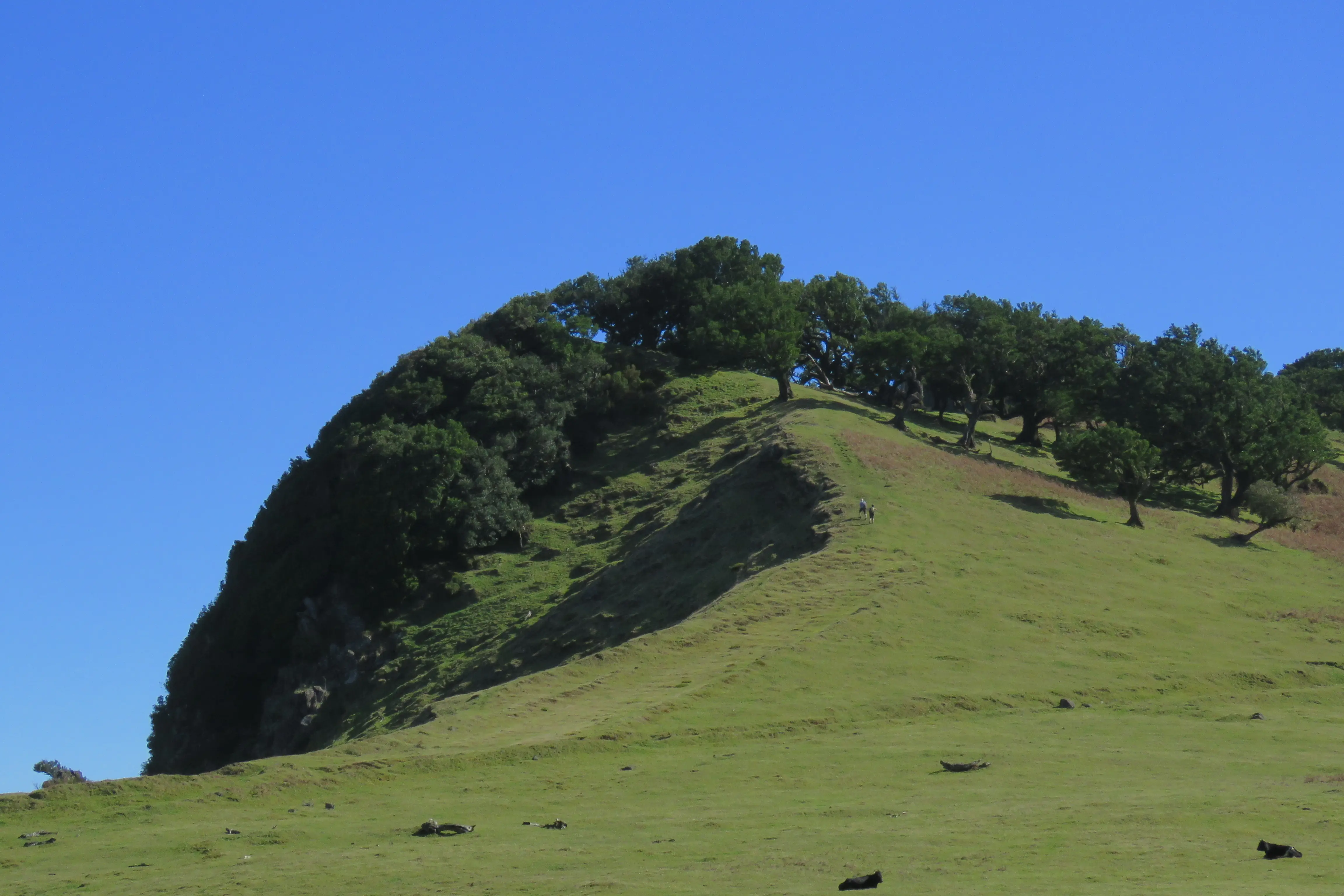 Northwest pools & Fanal - Epic full day open top jeep adventure - 8