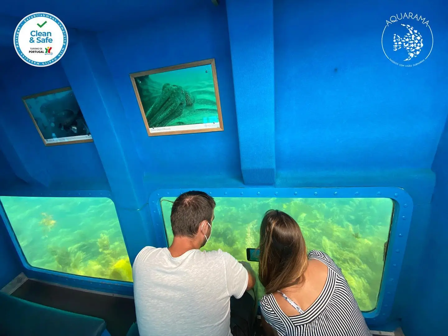Boat Trip with underwater views - 1