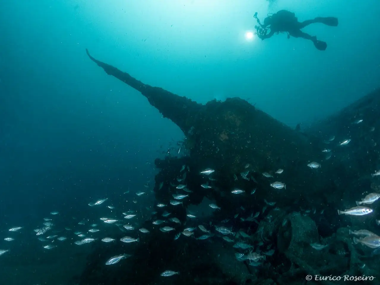 Mergulho no U-boat 1277 - o mergulho mais emblemático de Portugal - Main