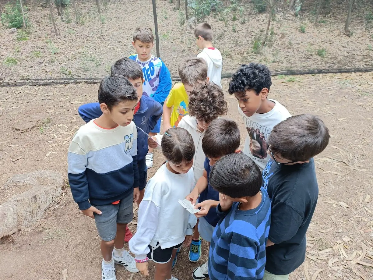 Treasure Hunt - 1