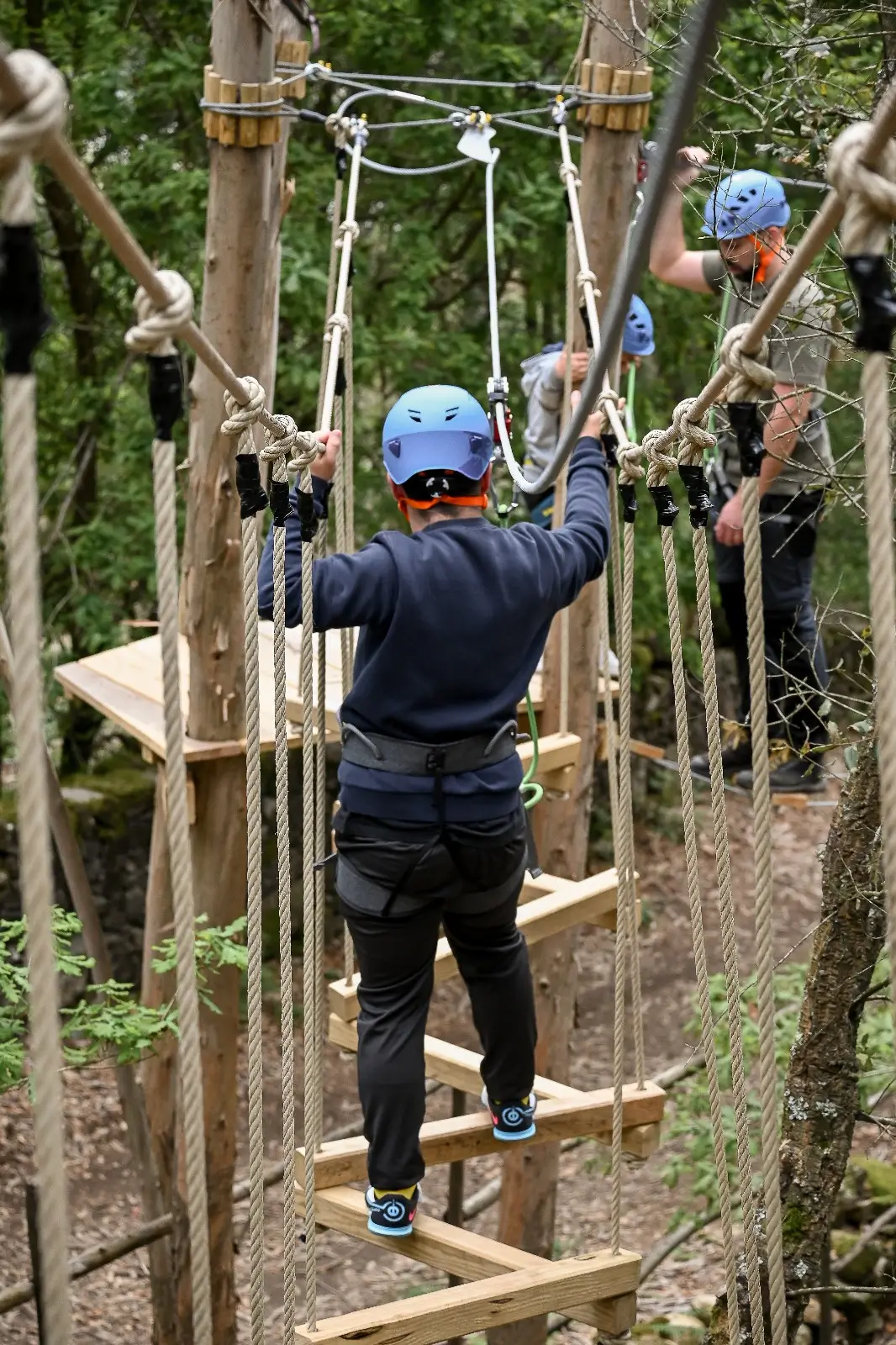Tree Climbing - 9