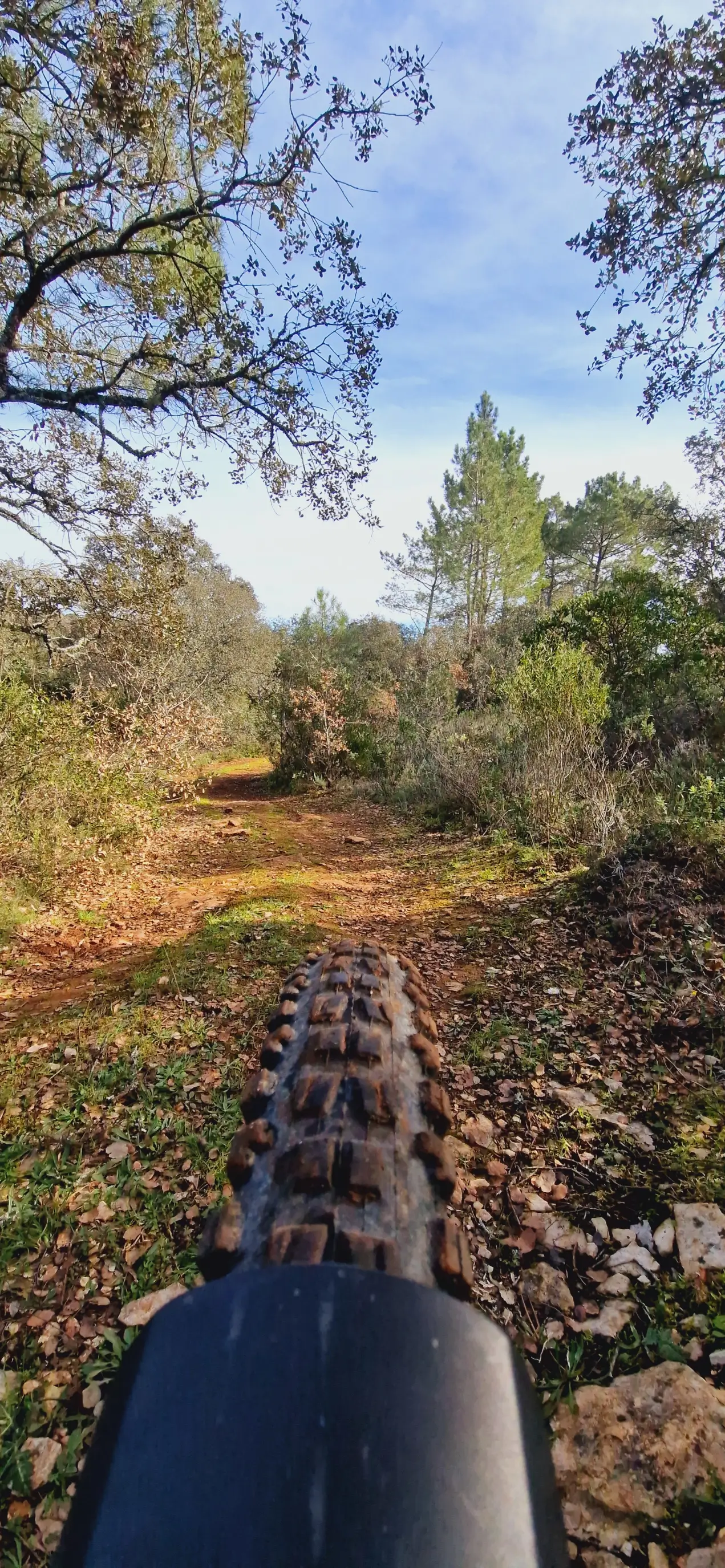 FÁTIMA: JURASSIC FOOTPRINTS E-BIKE TOUR - 6
