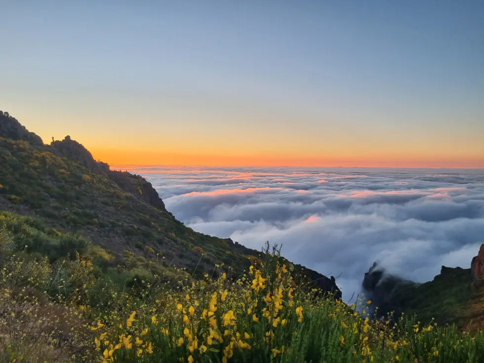 Jeep 4x4 Full Day East, Santana, Thatched houses, Pico Areeiro, levada walk - 4