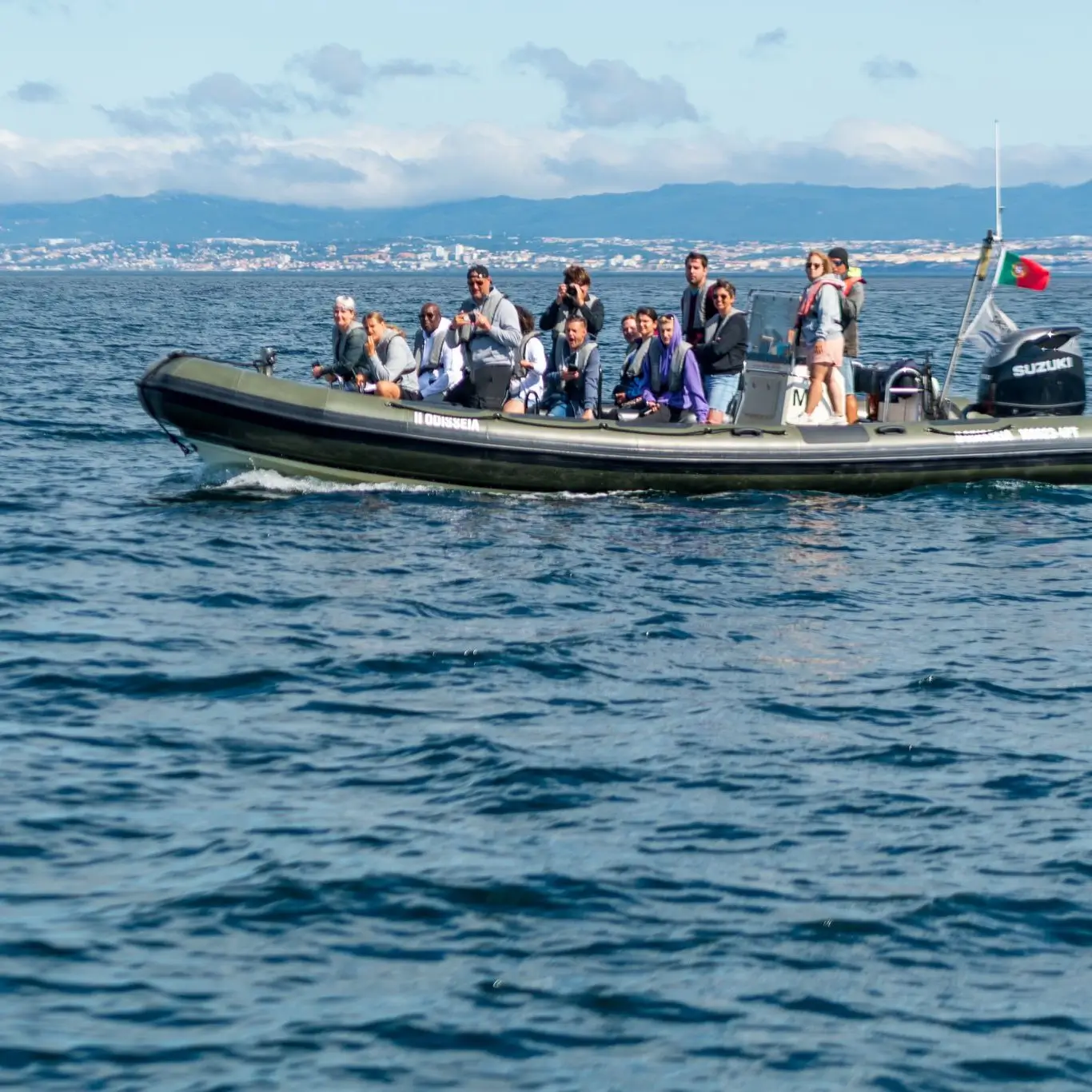 Dolphin Watching Tour With Marine Biologist - 9