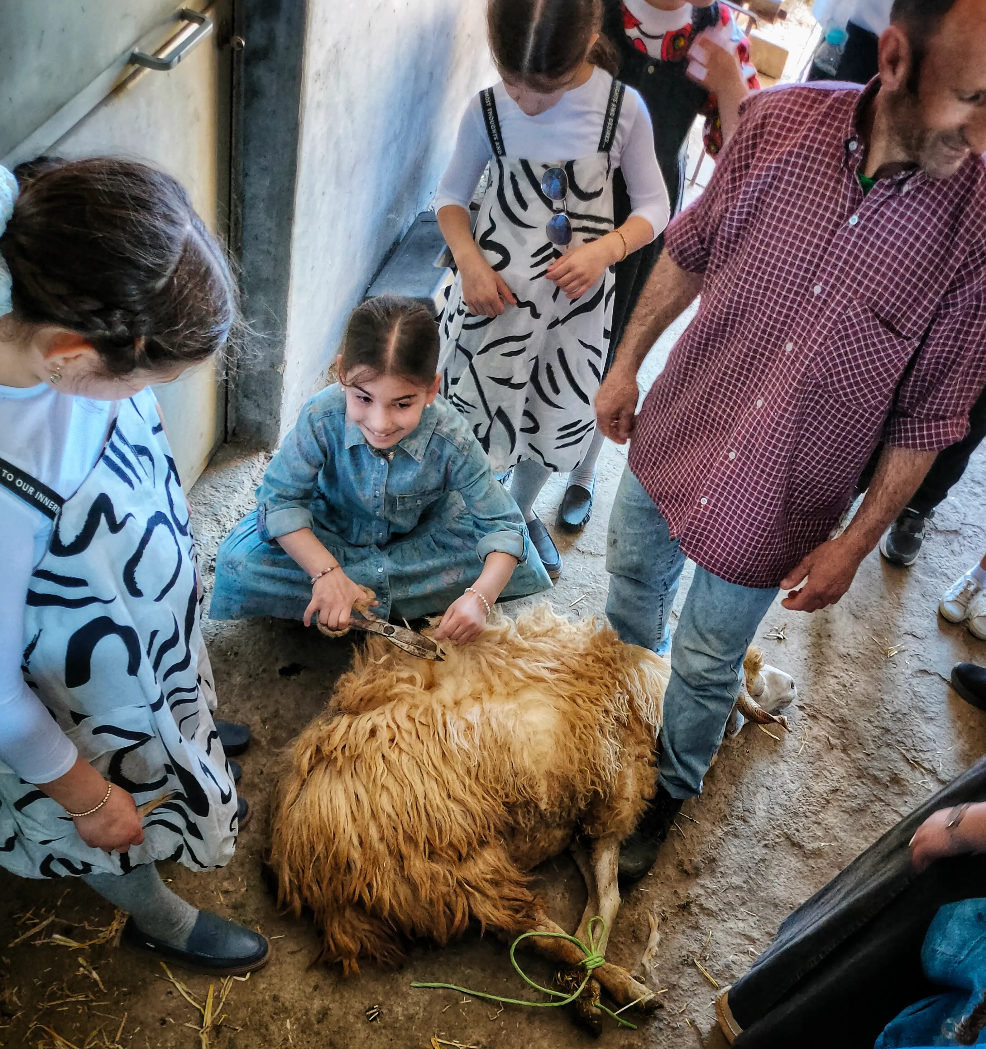 Be a Shepherd for a Day: Discover the Beauty of Rural Life - 6