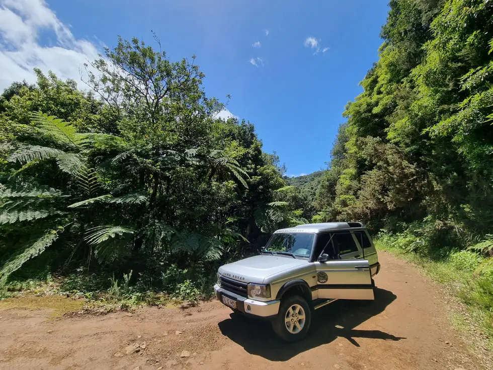 Private 4x4 Jeep Full Day Madeira East Side - Santana (Up to 5pax) - 2