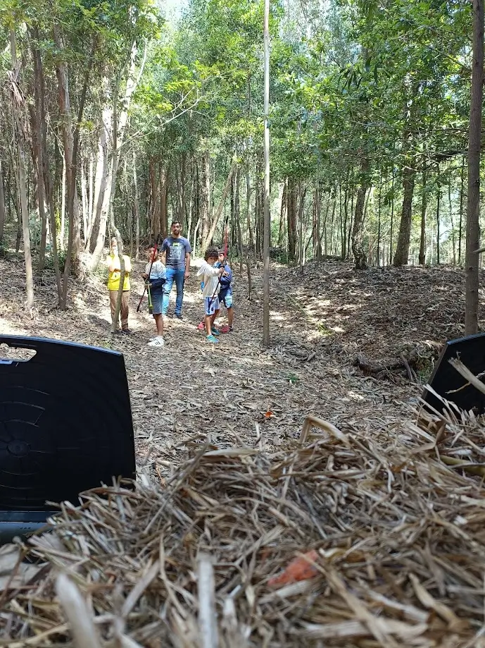 Archery - 7