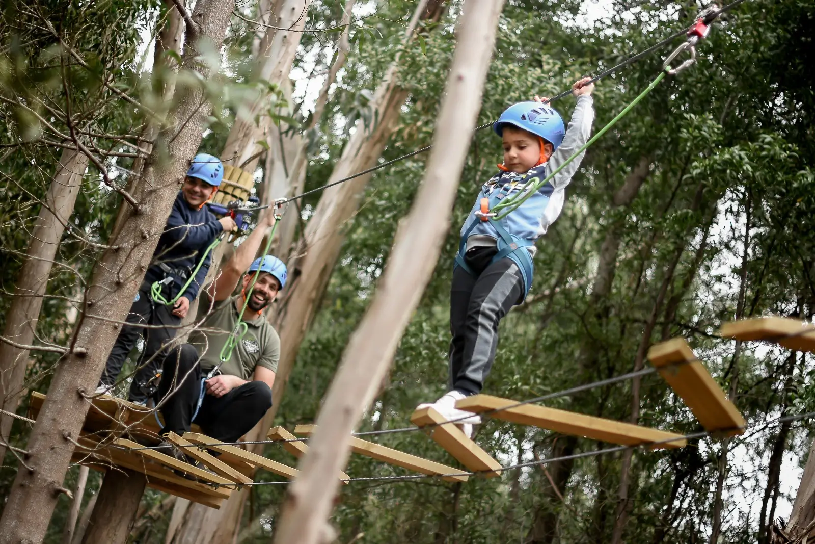 Tree Climbing - 1