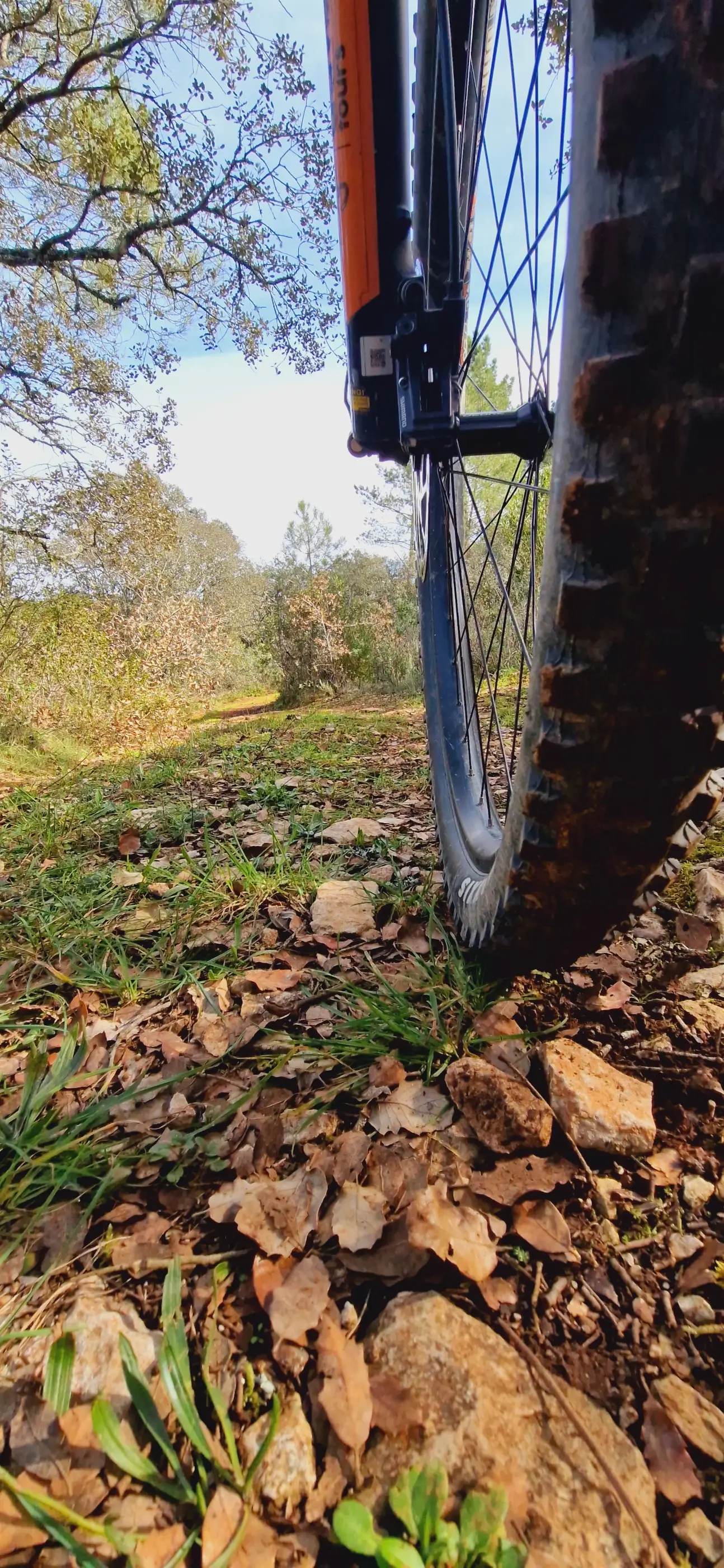 FÁTIMA: JURASSIC FOOTPRINTS E-BIKE TOUR - 10