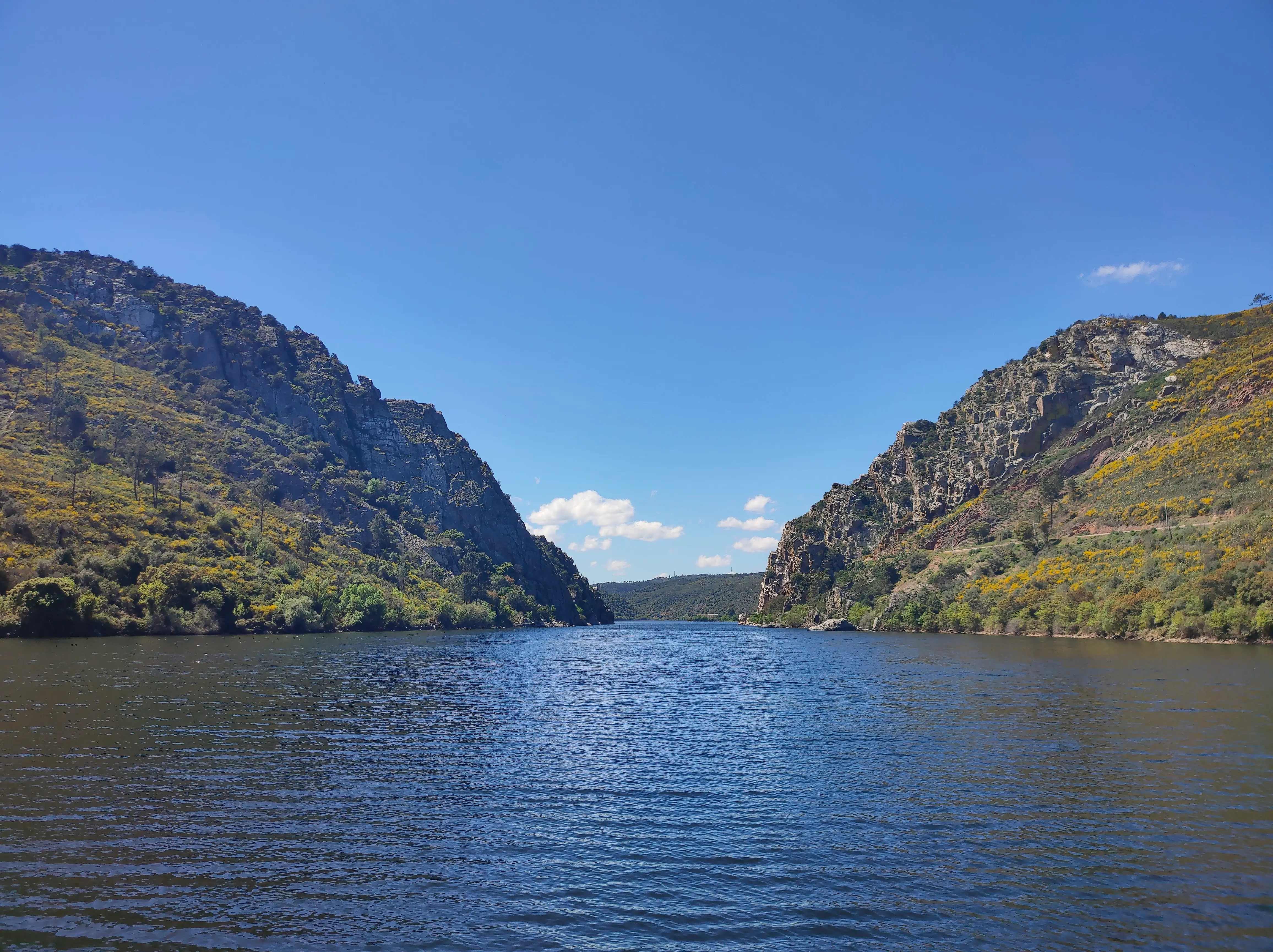 Portas de Ródão: Boat Trip & Exploration of the Region’s Natural Wonders - 3
