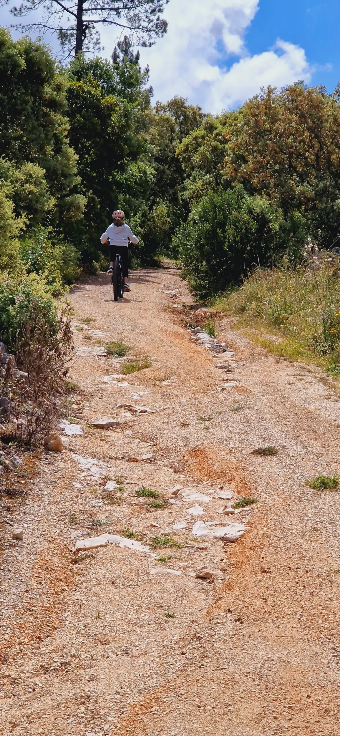 FÁTIMA: JURASSIC FOOTPRINTS E-BIKE TOUR - 2