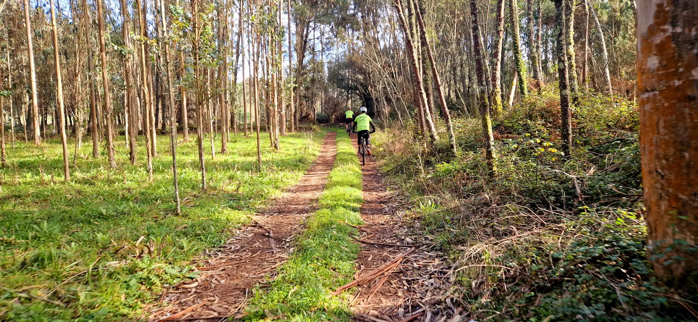 FÁTIMA: CAVES & TRADITION E-BIKE TOUR - 10