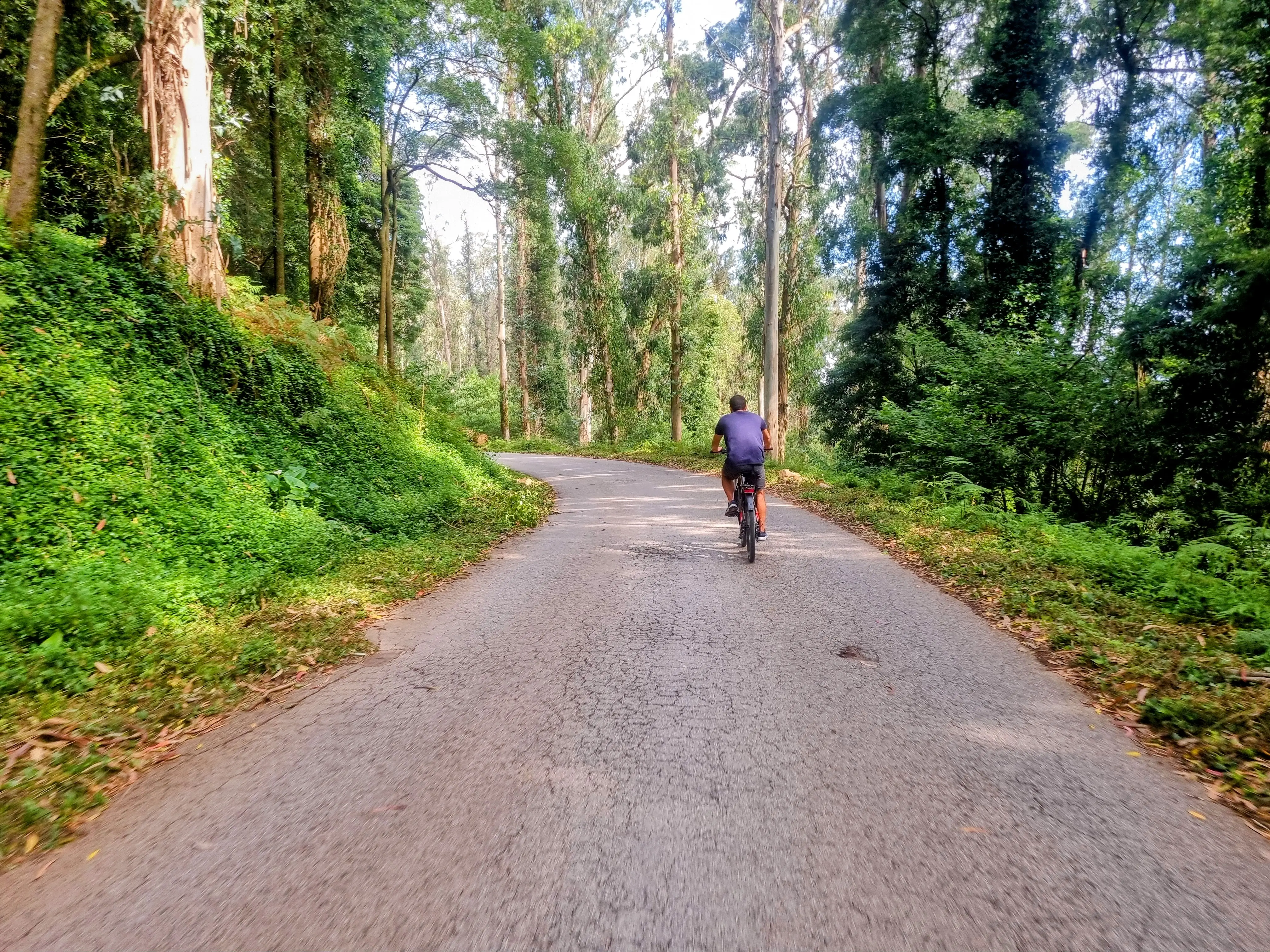 Explore Lisbon’s Green Lung & Belém by E-Bike - 3
