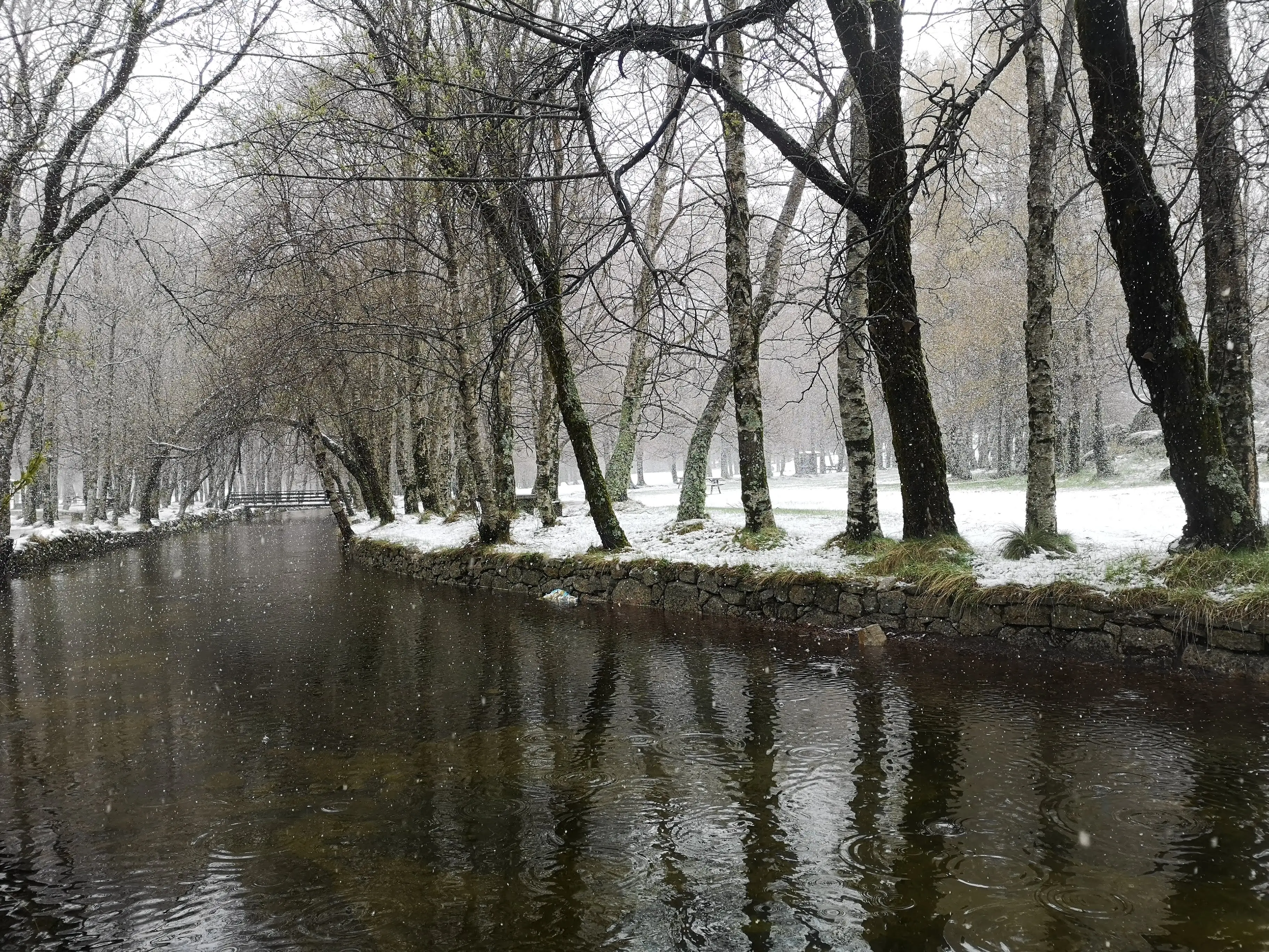 Serra da Estrela - Snow, Nature, & Unforgettable Adventures in Portugal’s Highest Mountain - 5