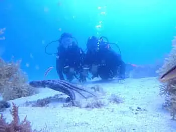 My first scuba Dive into the Ocean from Sesimbra - 8
